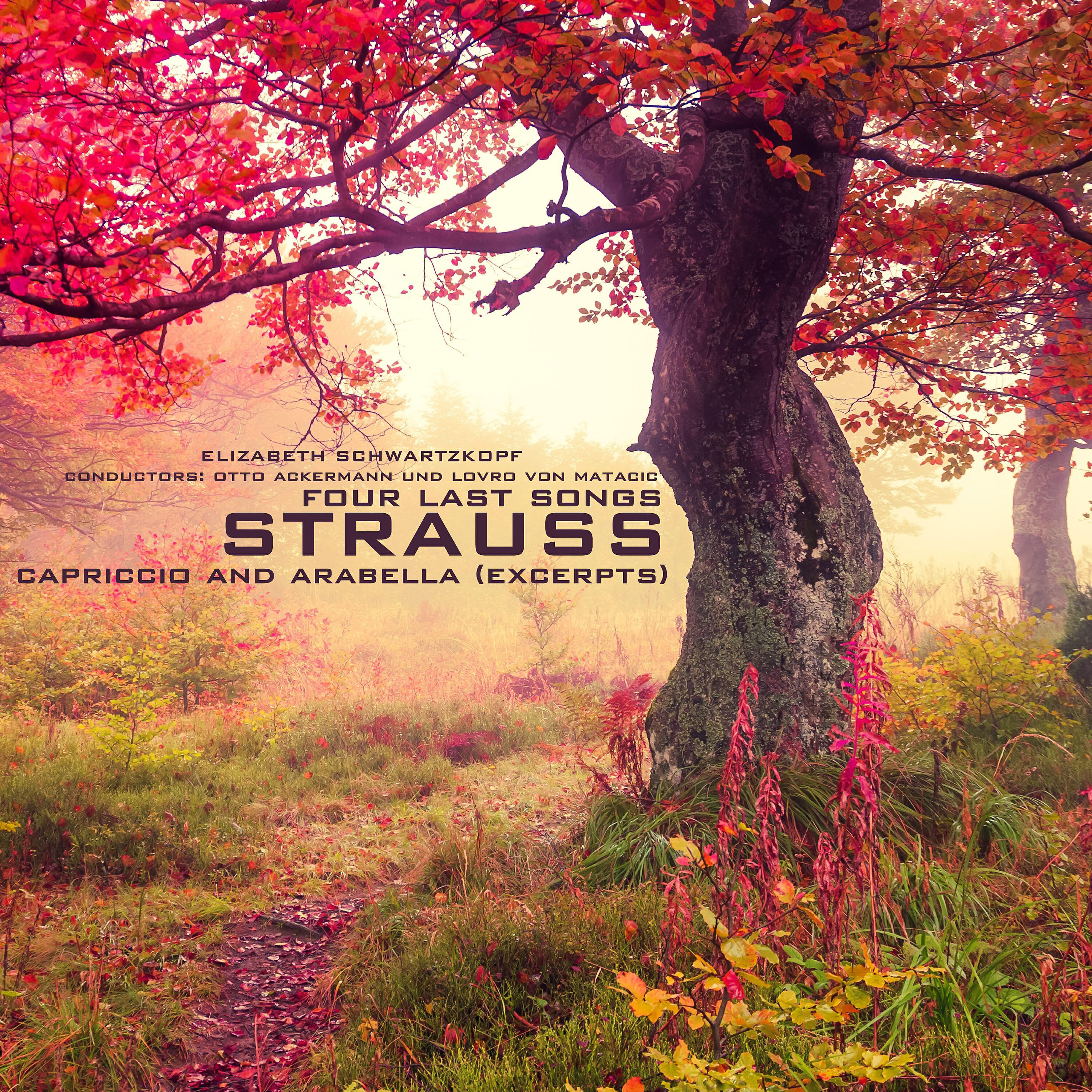 Релиз Strauss: Four Last Songs, Capriccio & Arabella (Excerpts)