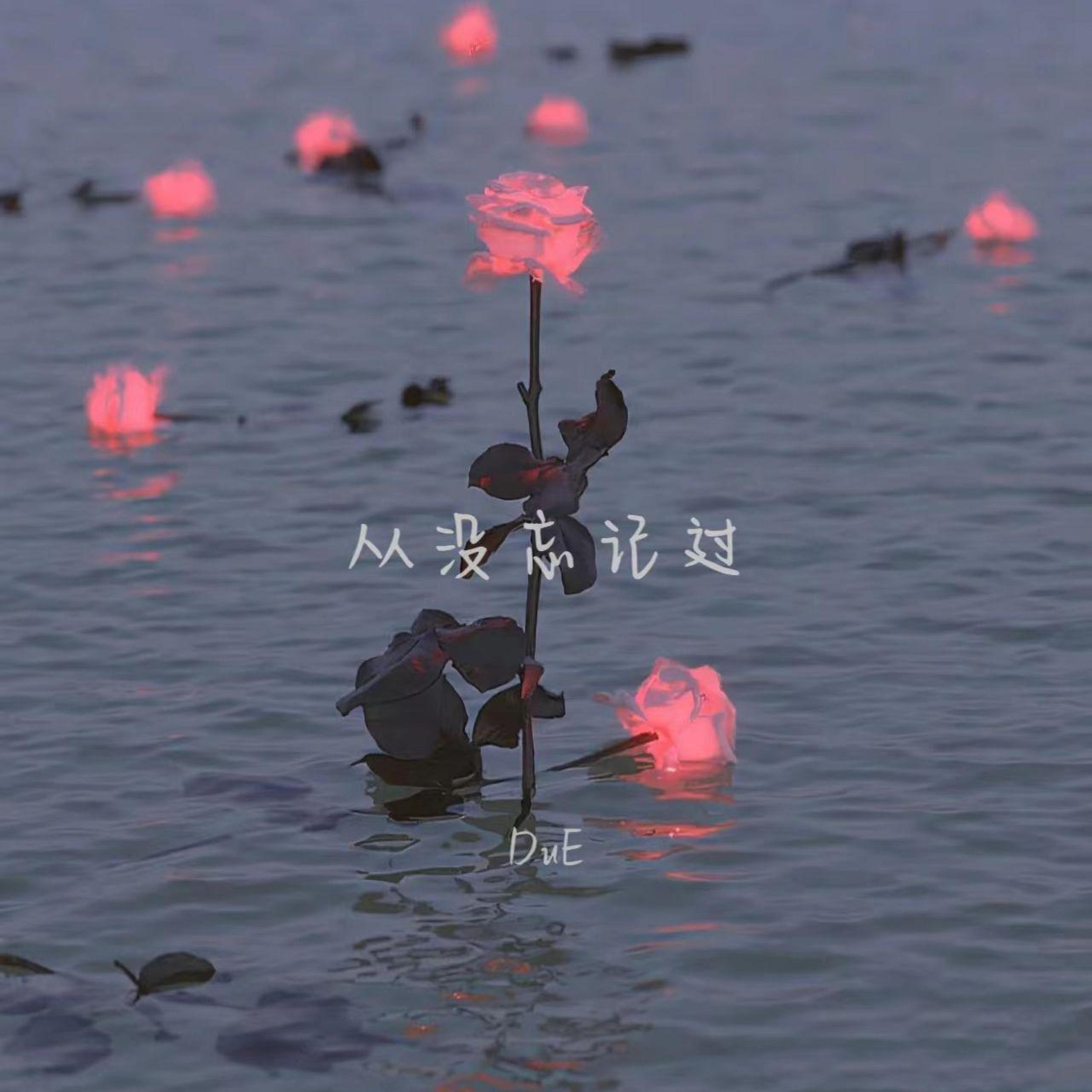 Релиз 从没忘记过