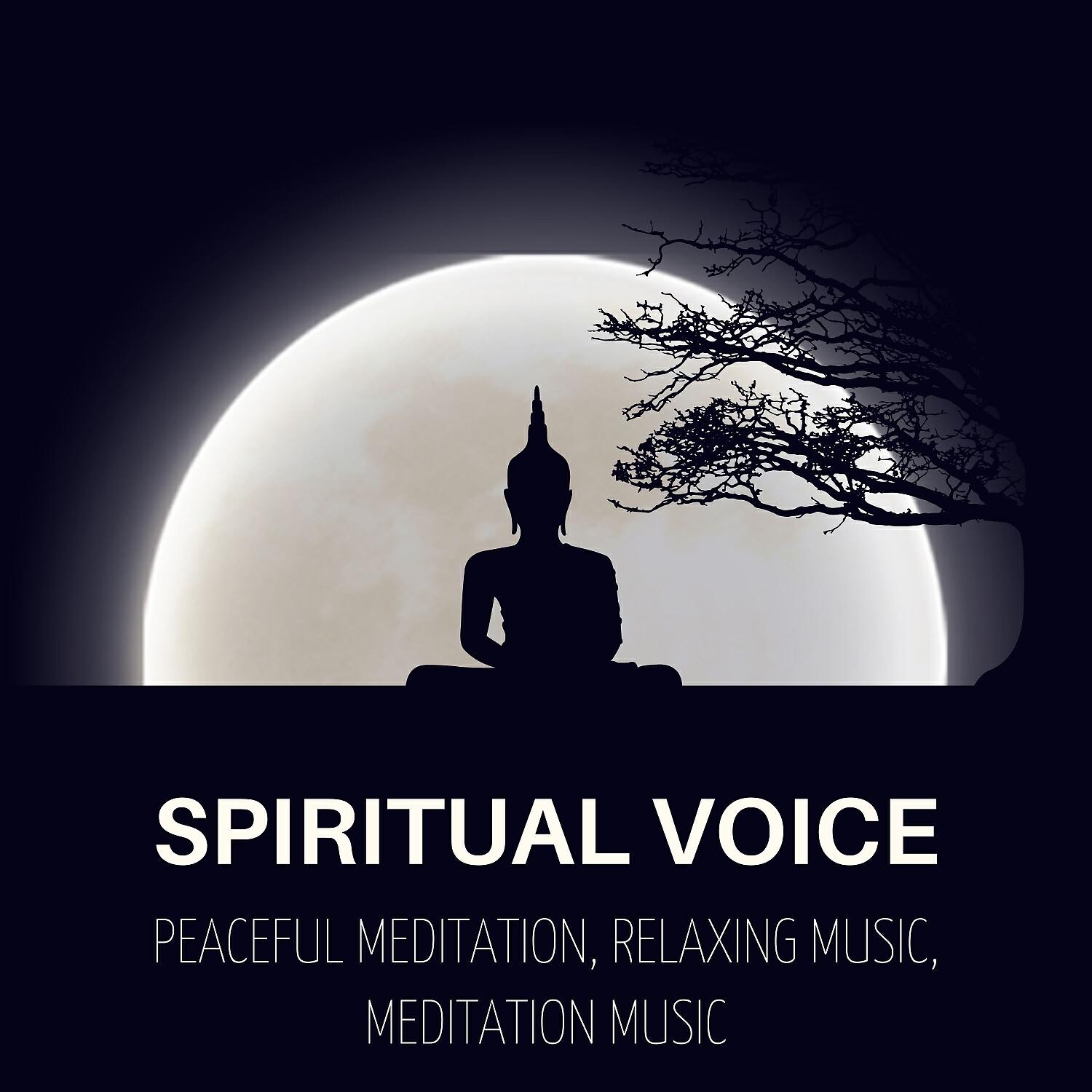 Релиз Spiritual Voice