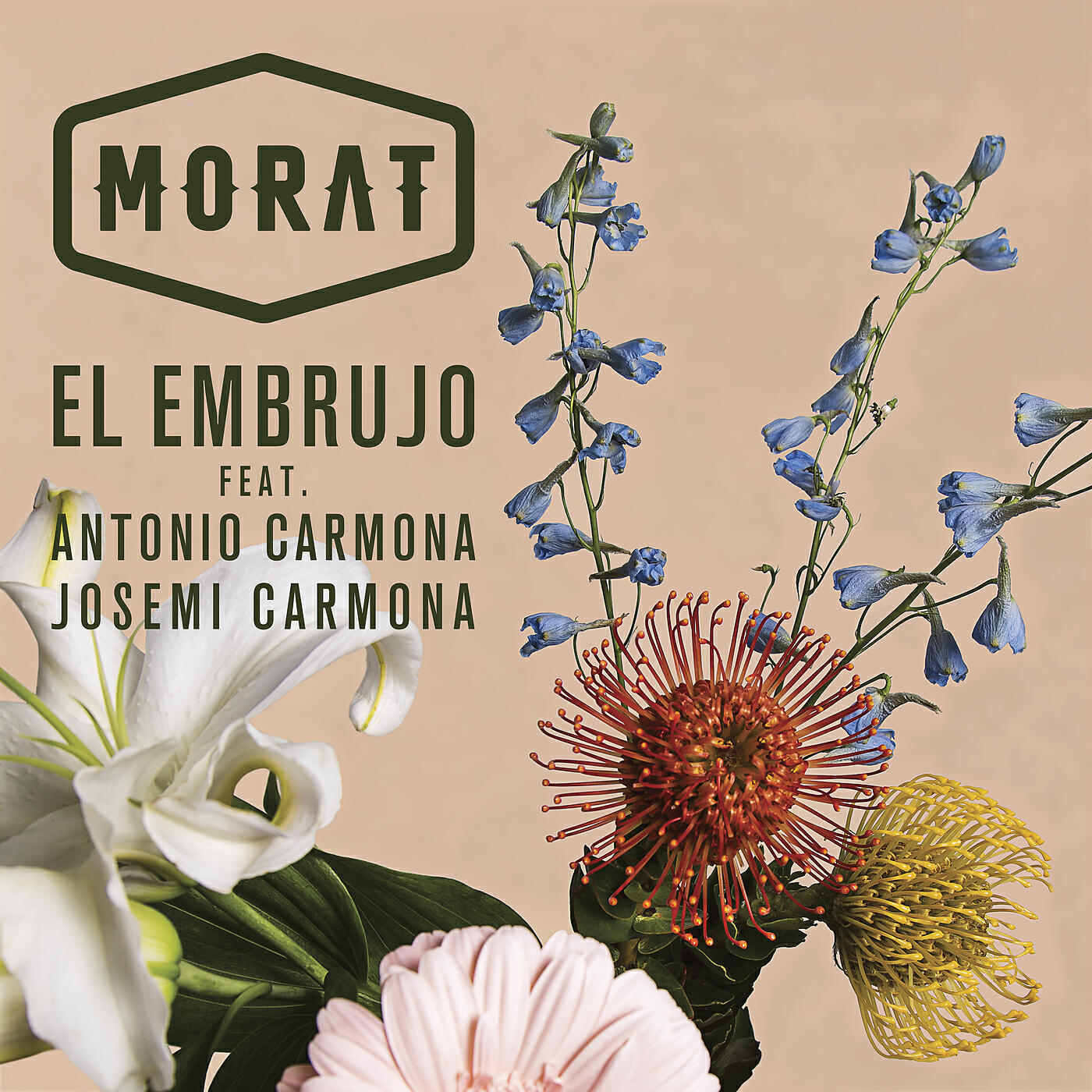Релиз El Embrujo