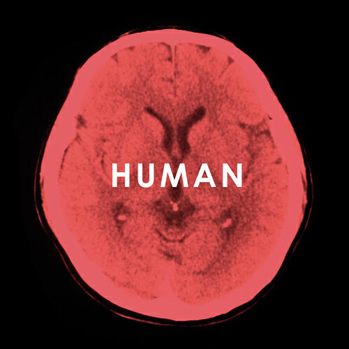 Релиз Human