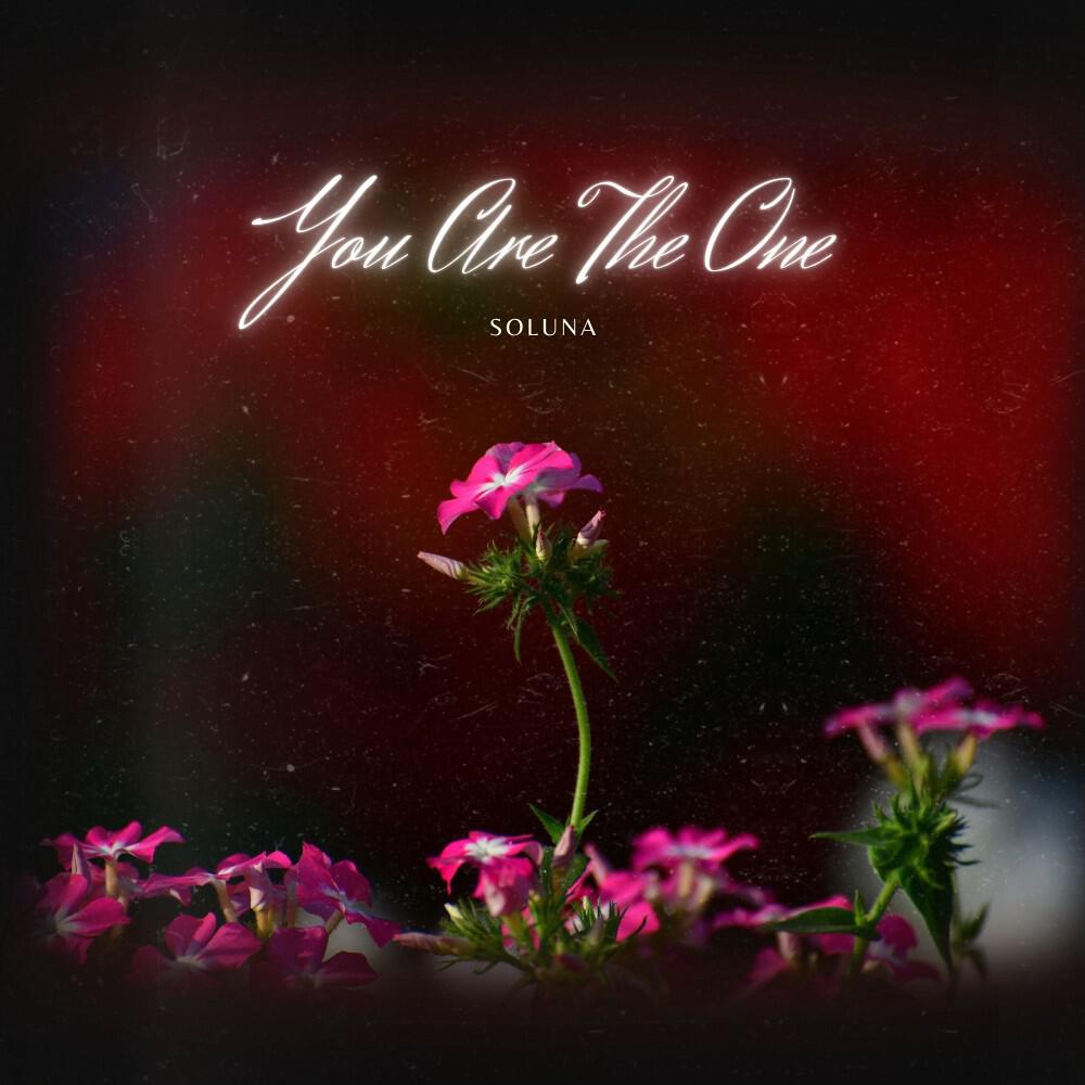 Релиз You Are the One