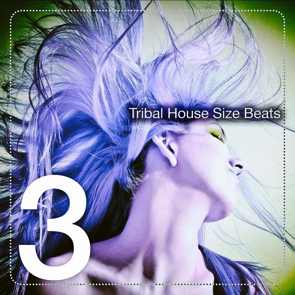 Релиз Tribal House Size Beats, Vol. 3 (The Tribal House Beats)
