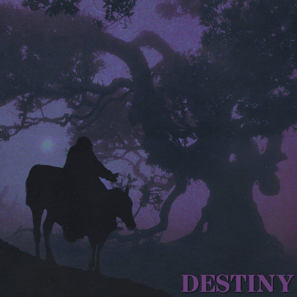 Трек Destiny