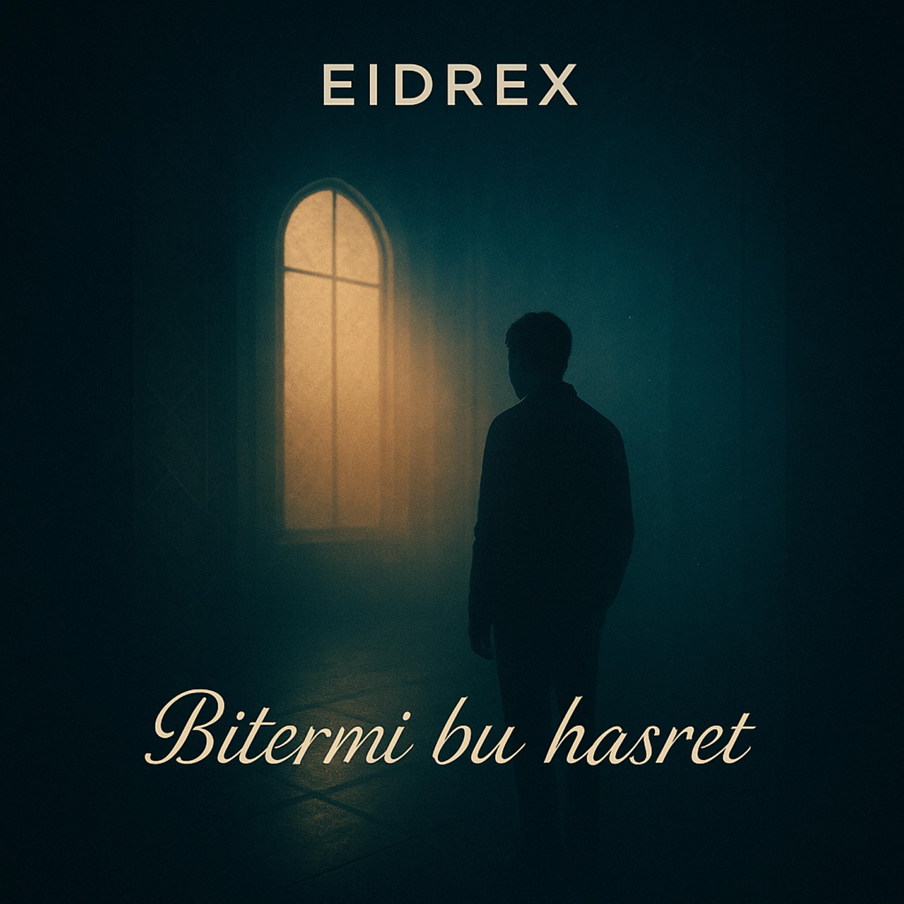Релиз Bitermi bu hasret