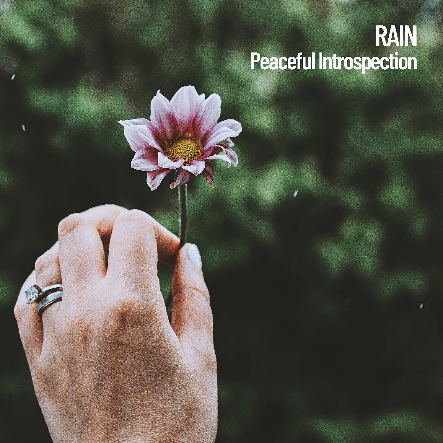 Релиз Rain: Peaceful Introspection