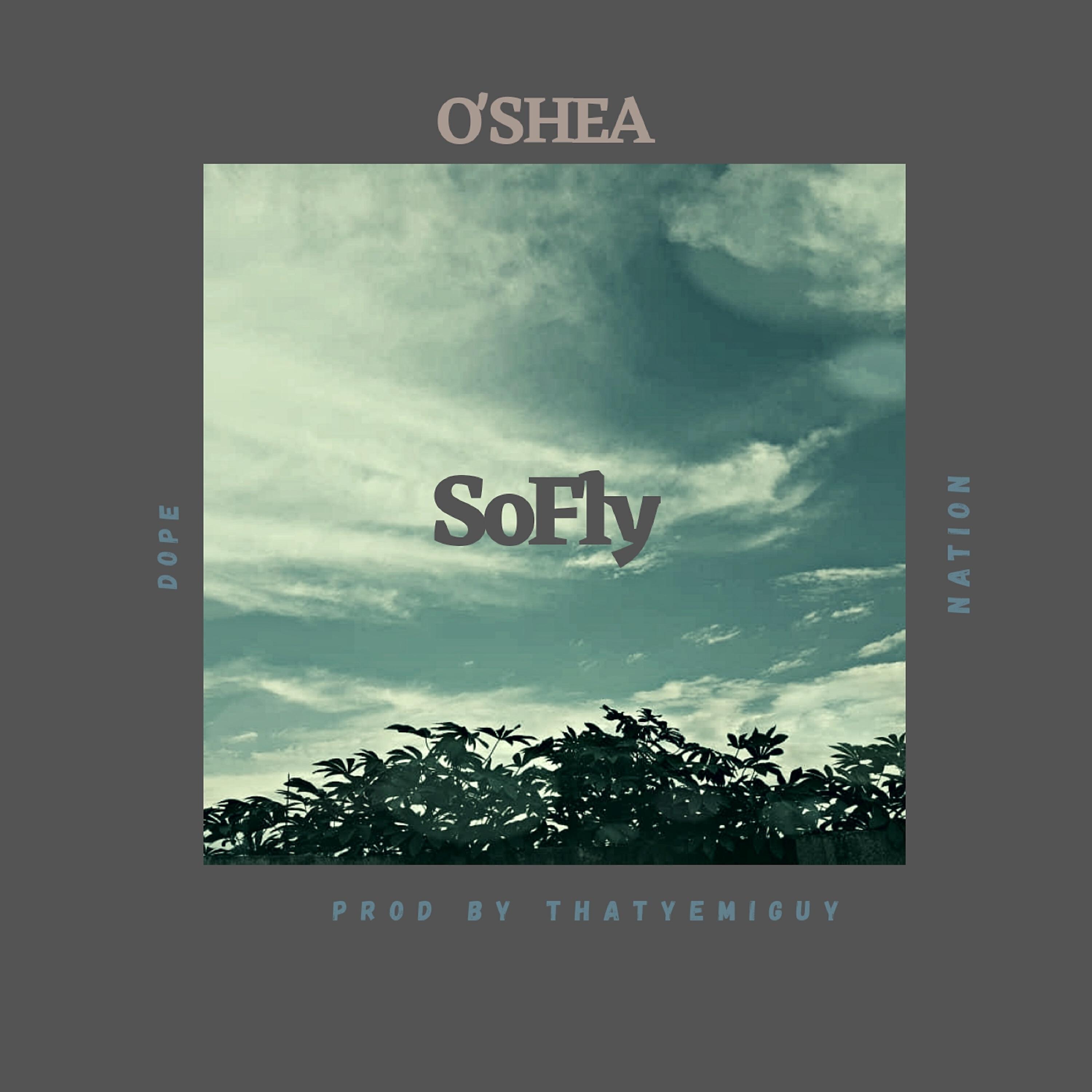 Релиз So Fly