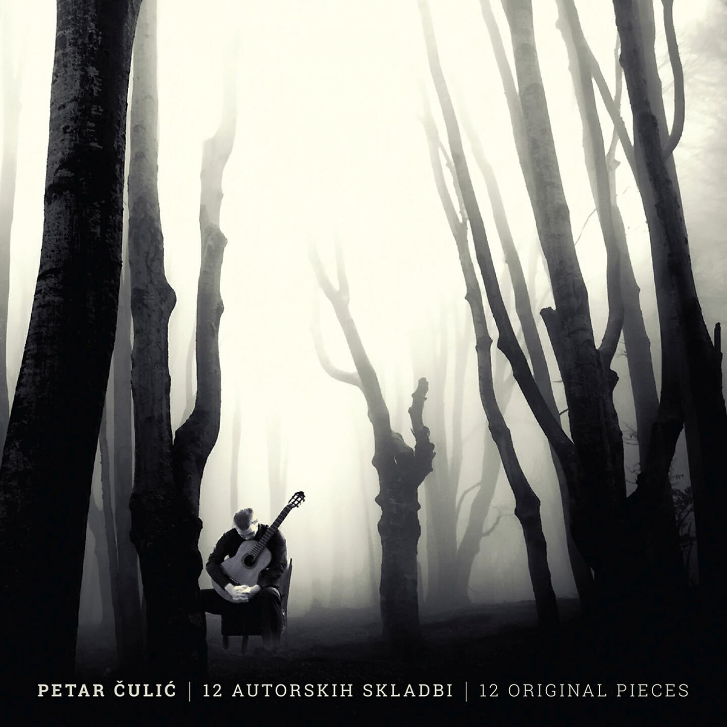 Релиз 12 Autorskih Skladbi
