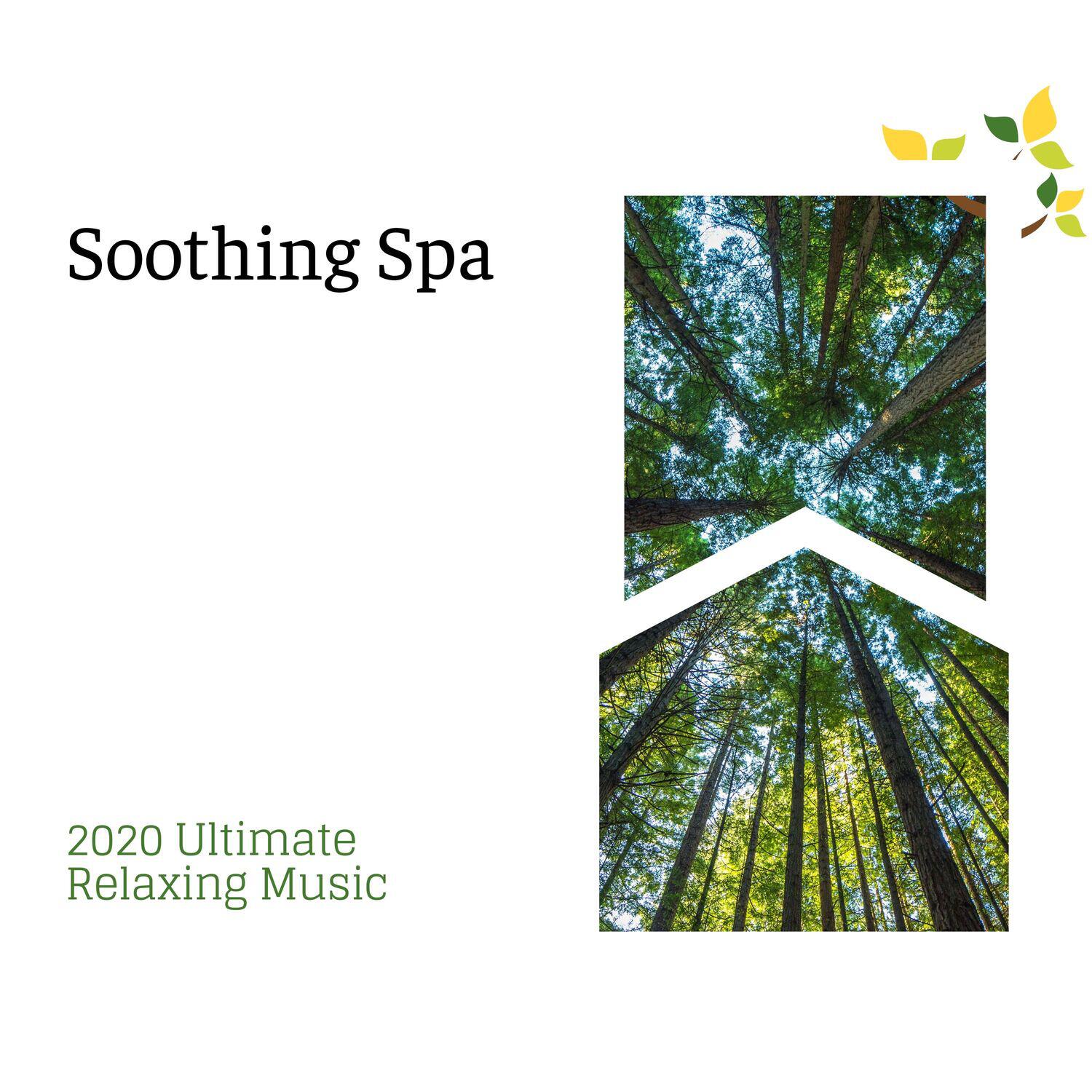 Therapeutic Spa
