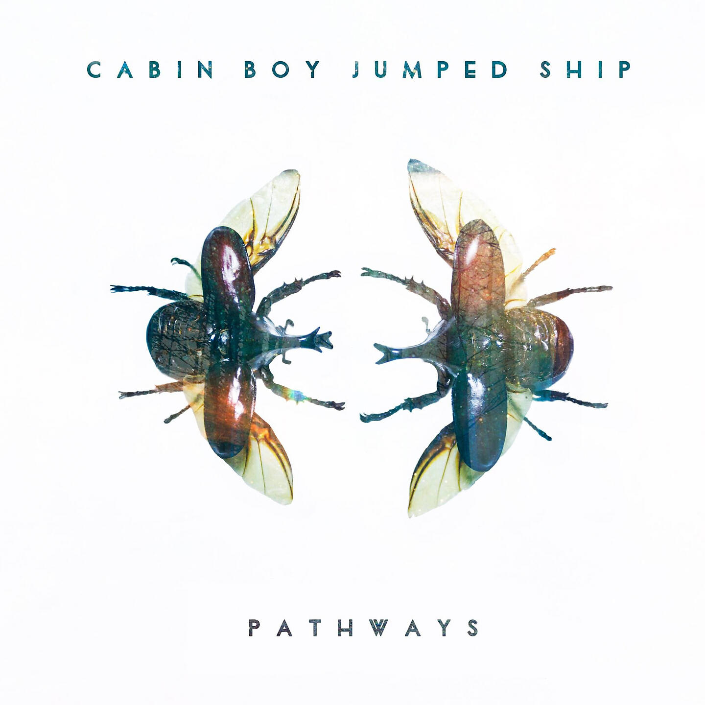 Релиз Pathways