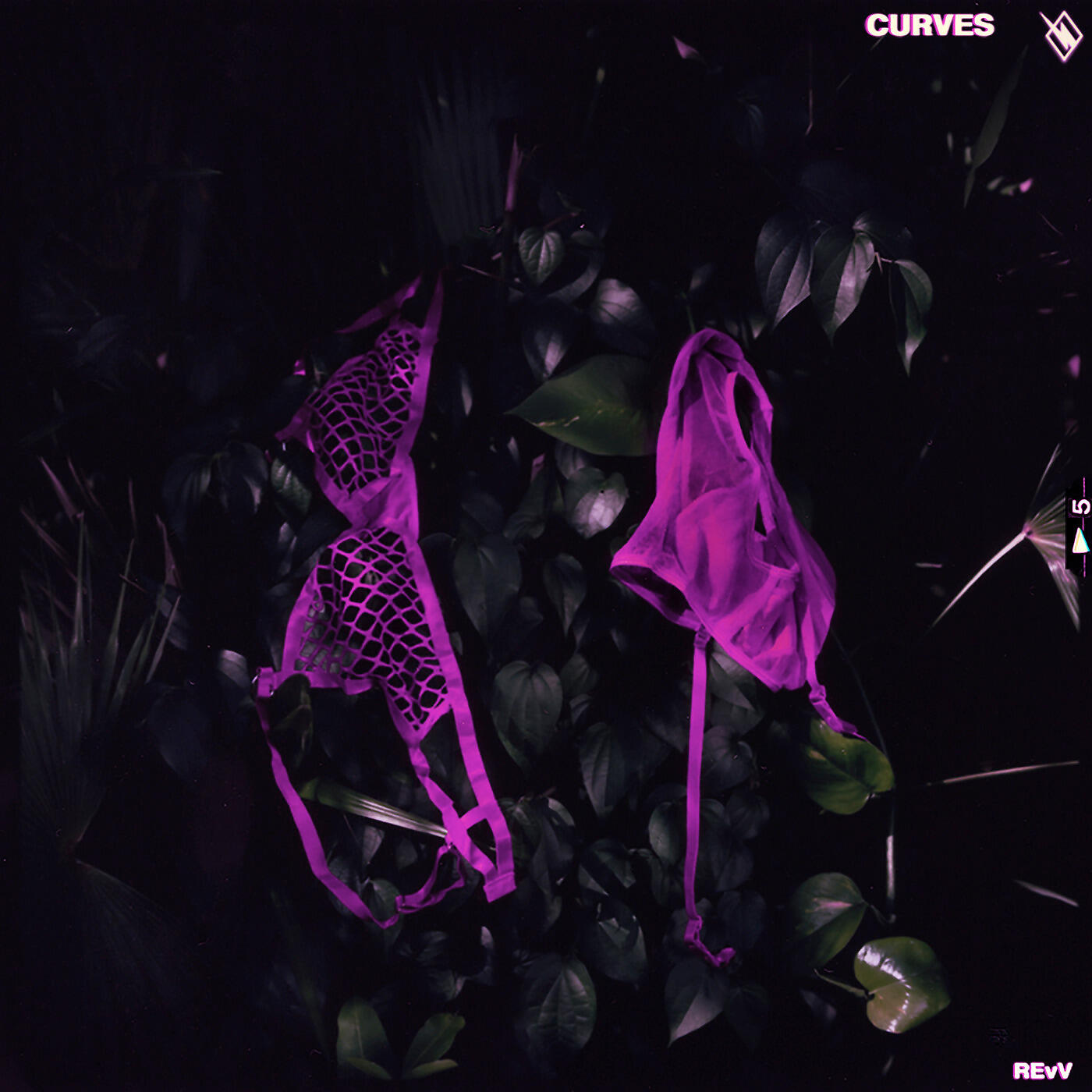 Релиз Curves