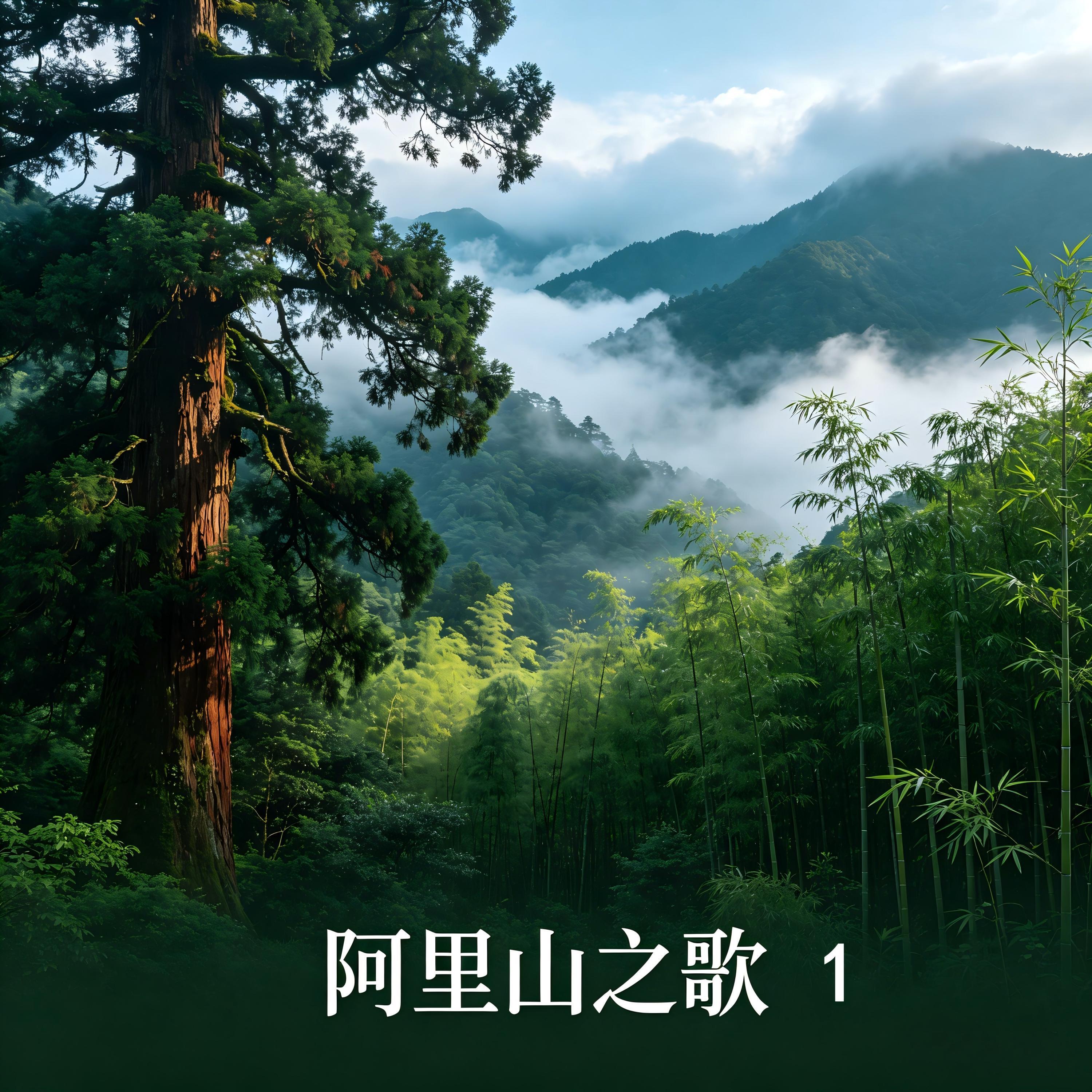 鹏雅丽