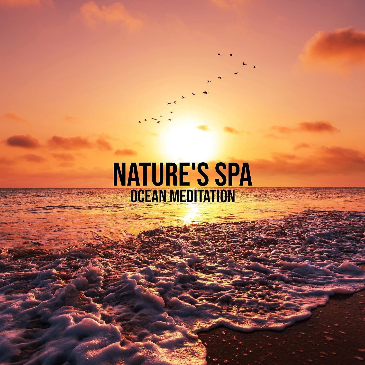 Serenity Spa Music Zone