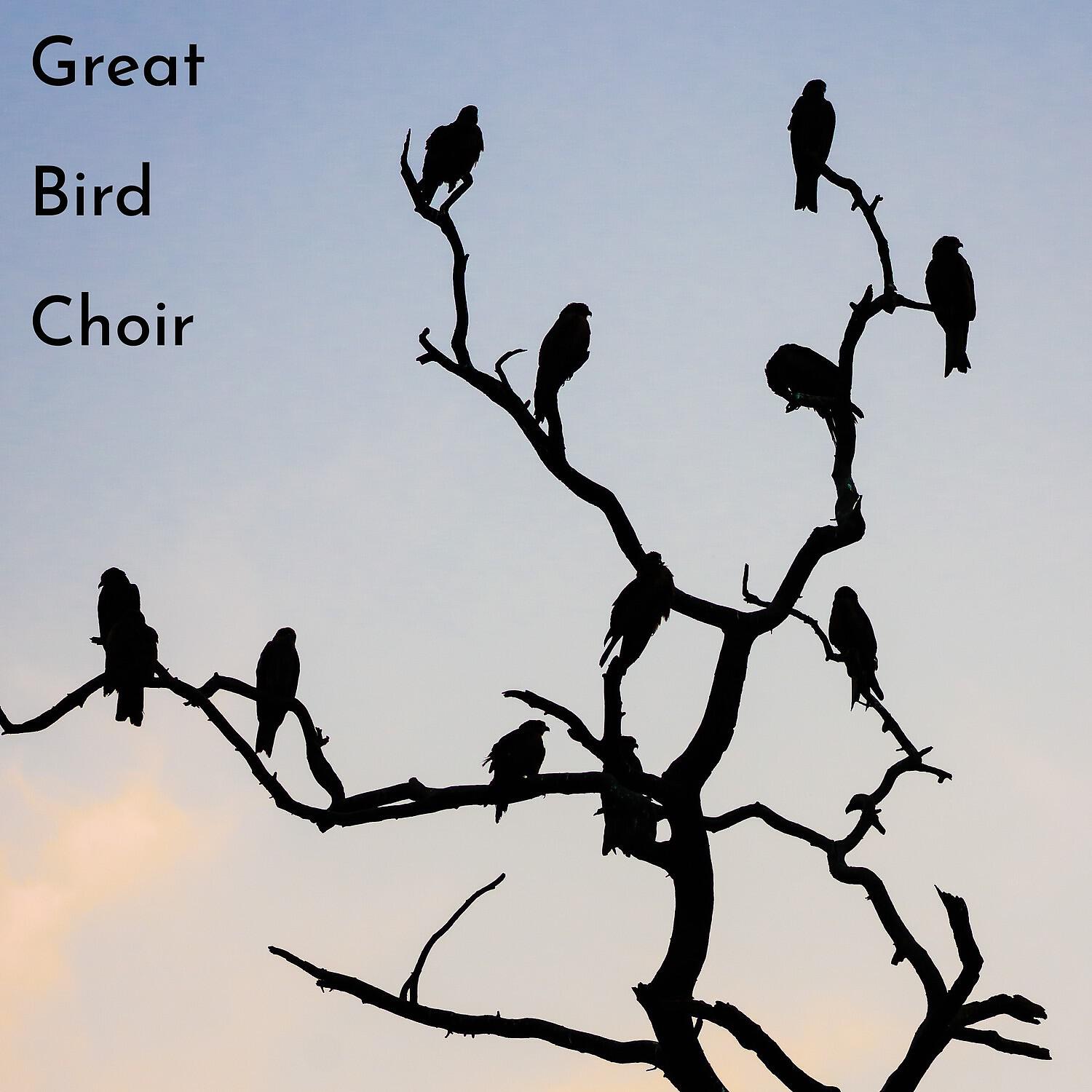 Релиз Great Bird Choir