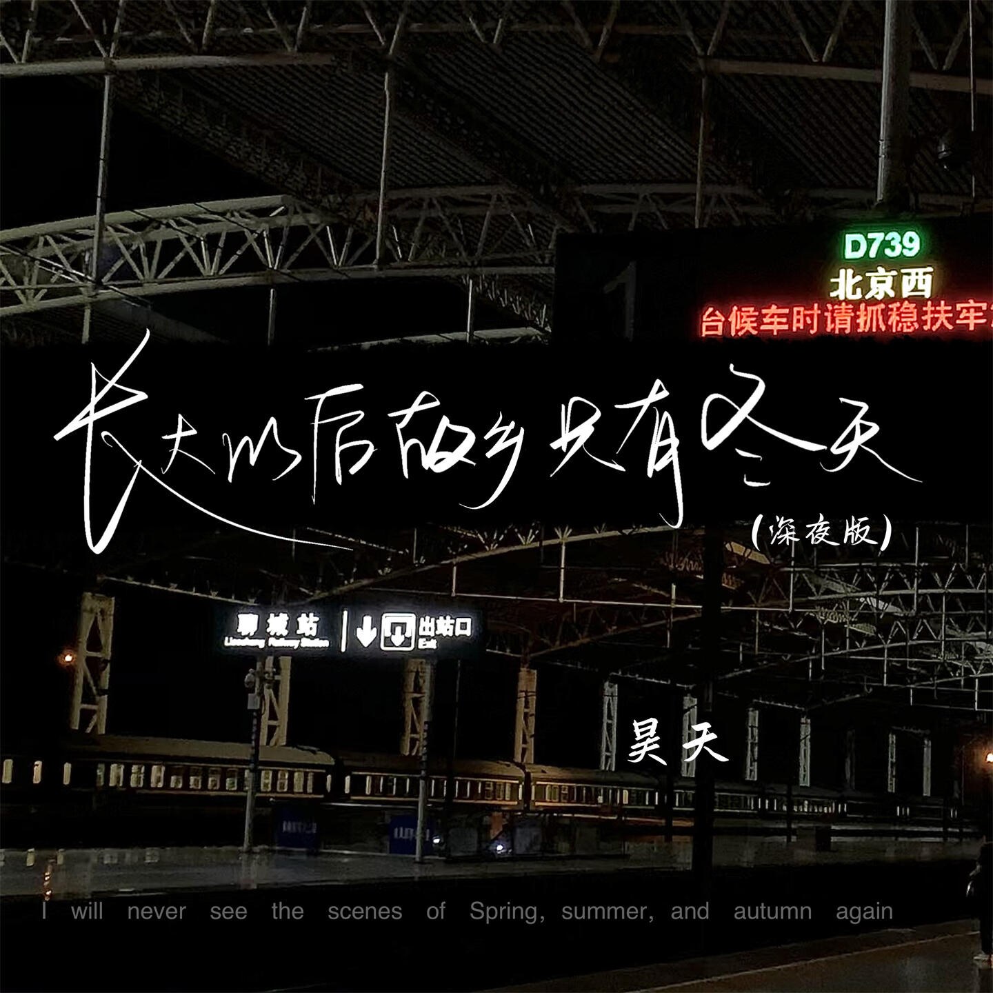 Релиз 长大以后故乡只有冬天