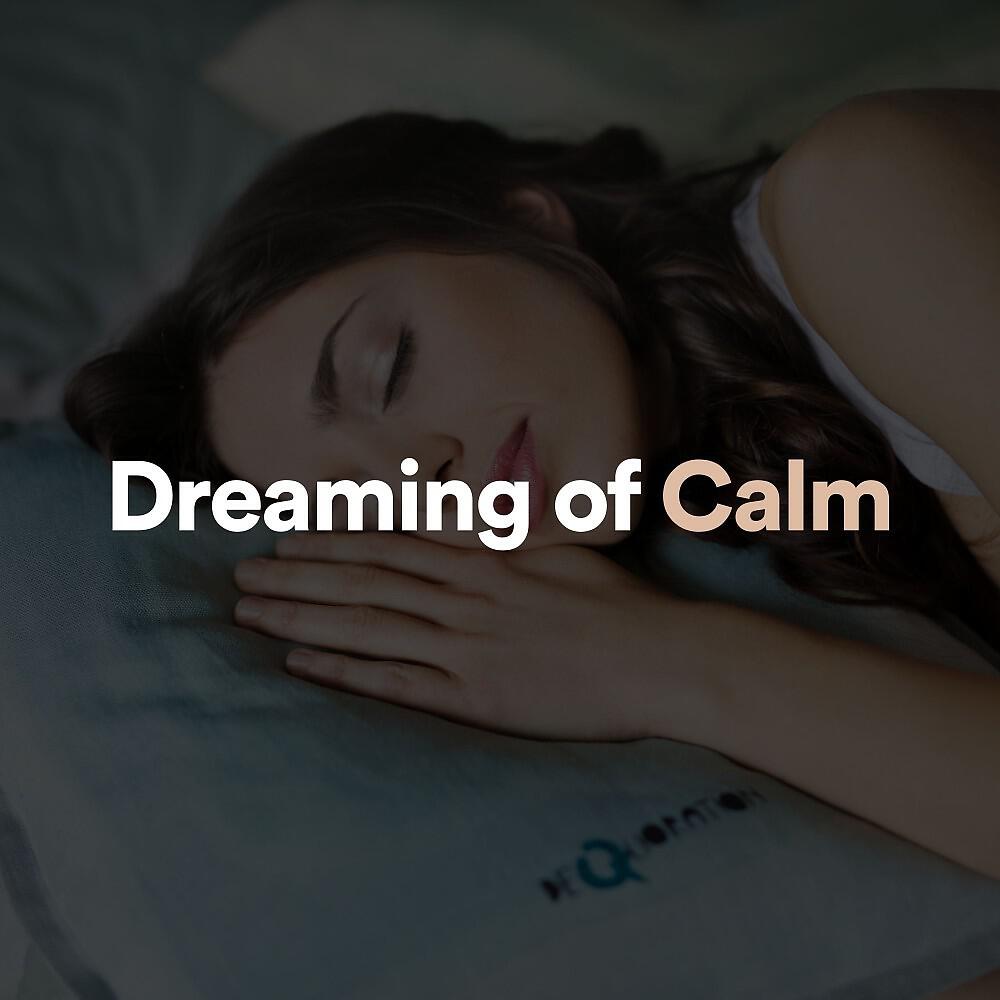 Релиз Dreaming of Calm