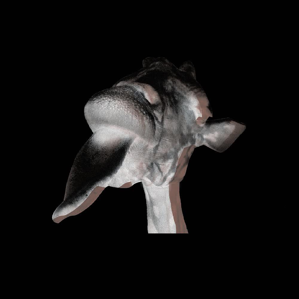 Релиз Güsto (Remixes)