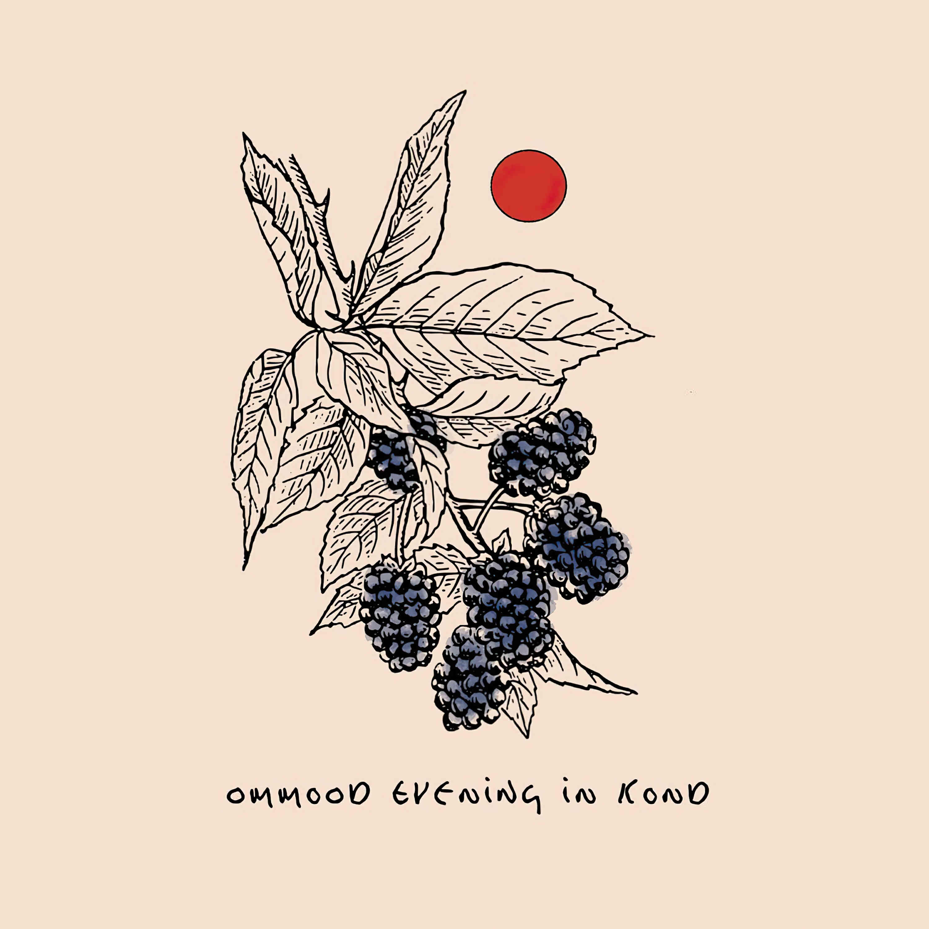 Релиз Evening In Kond