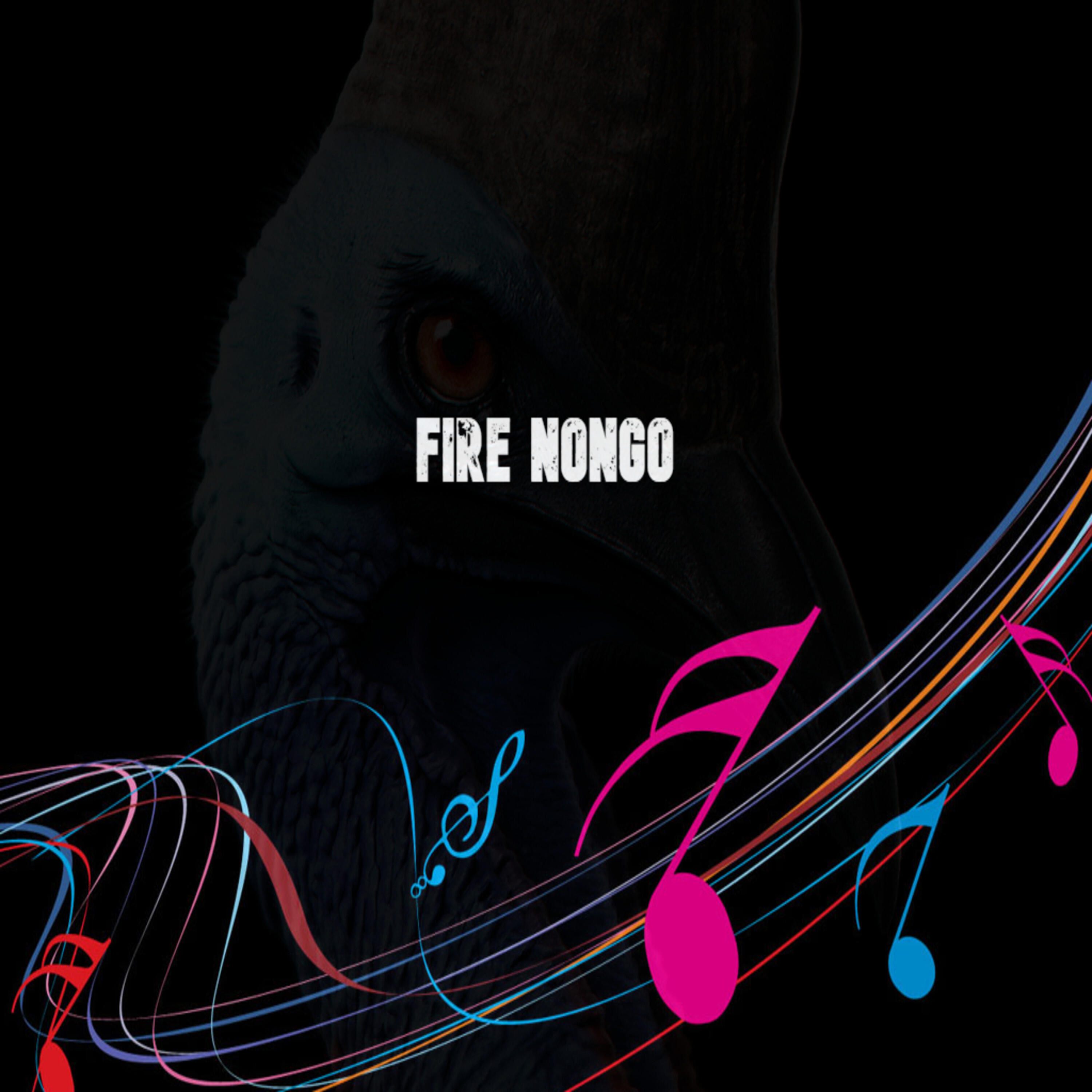 Релиз Fire Nongo