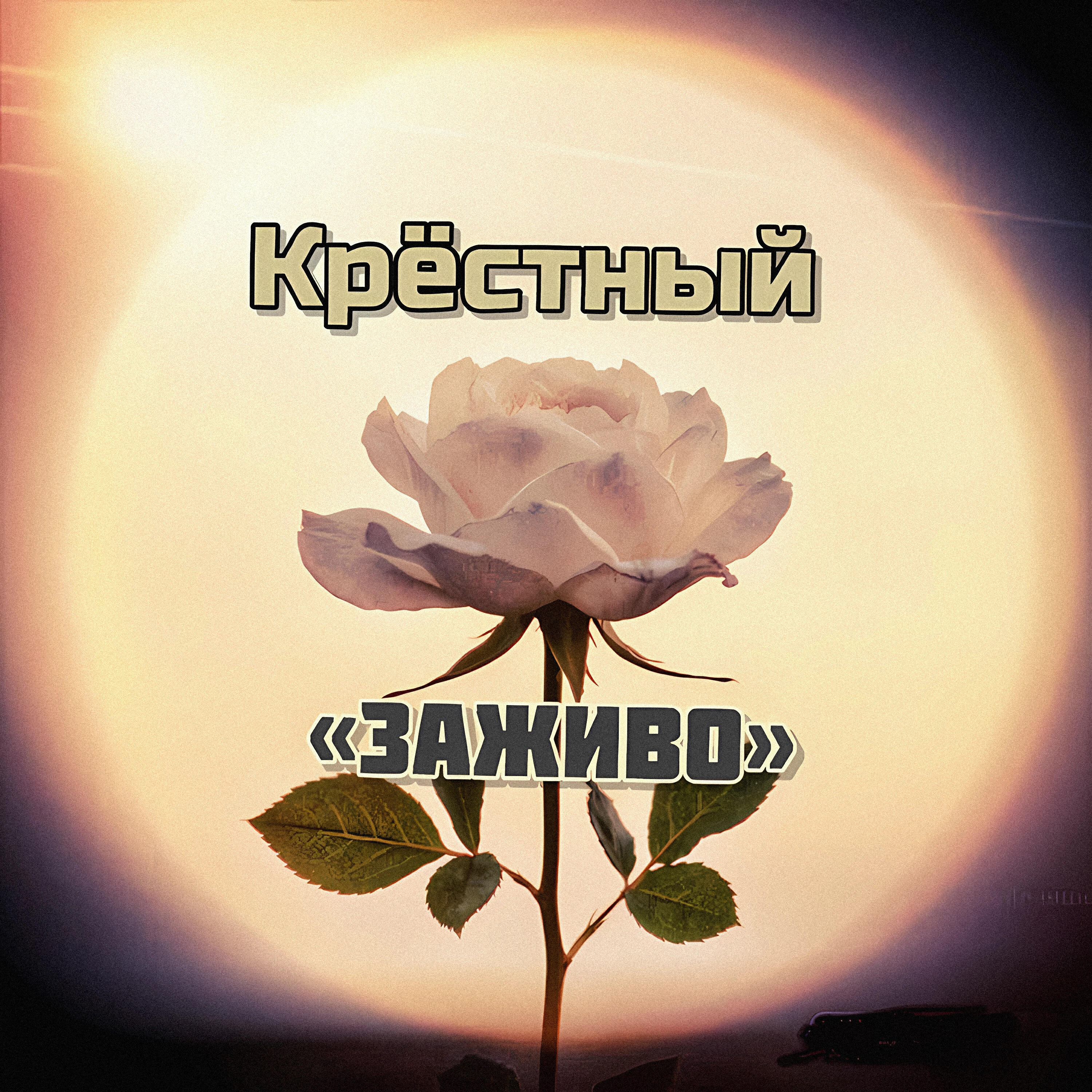 Релиз Заживо