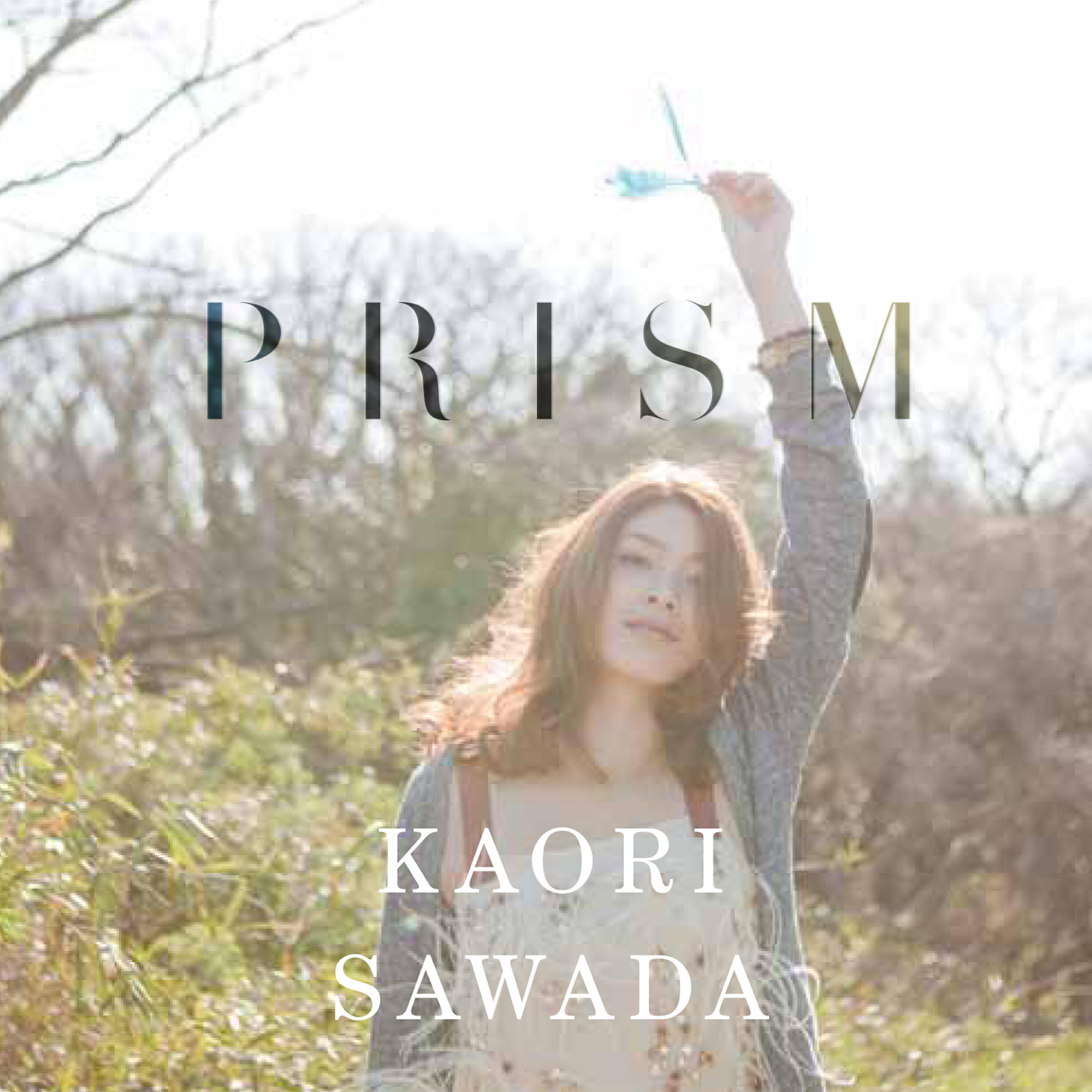 Релиз PRISM