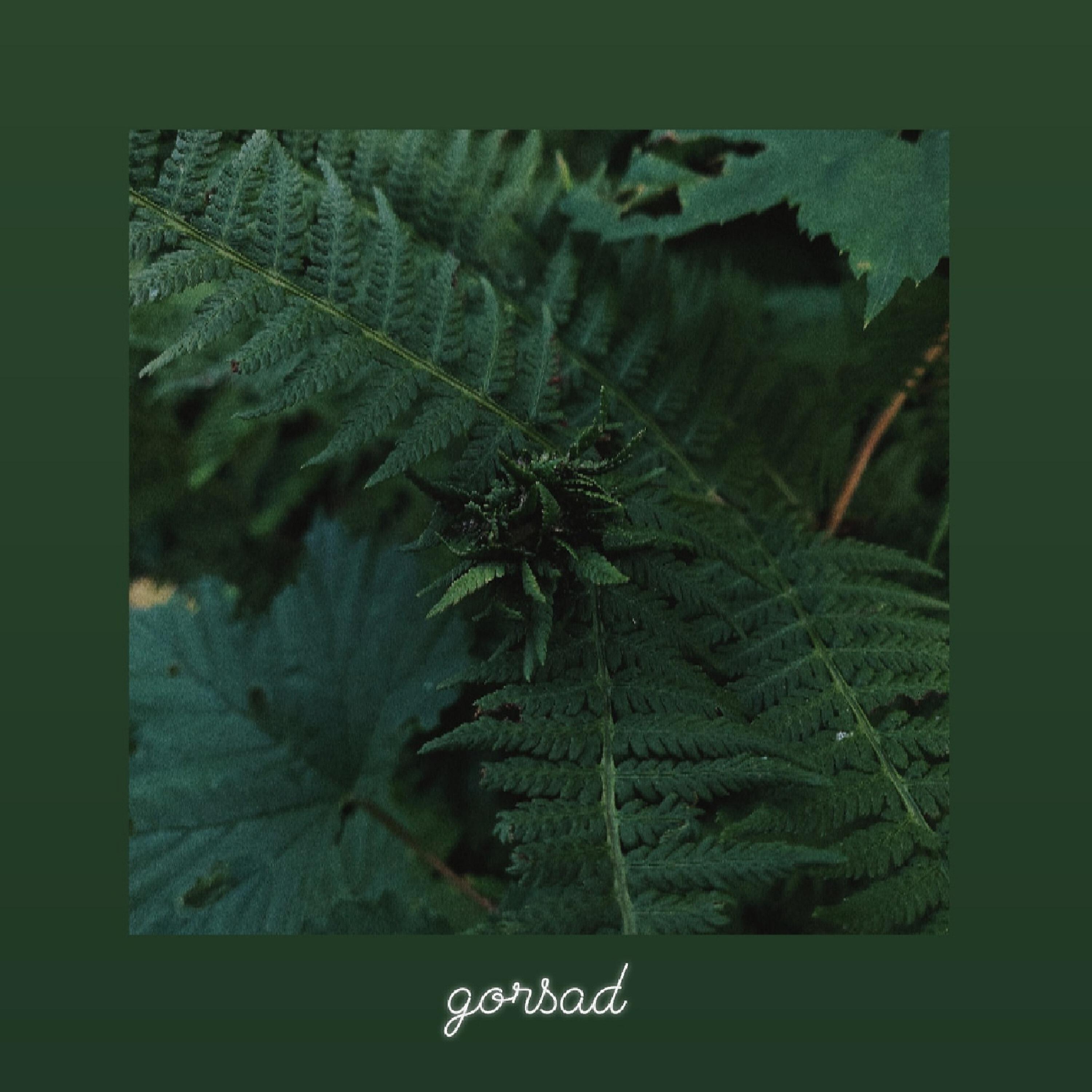 Релиз Gorsad