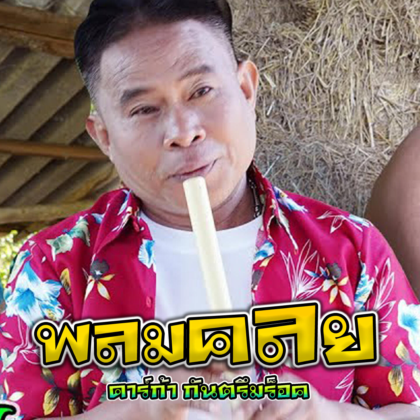 Релиз พลมคลย