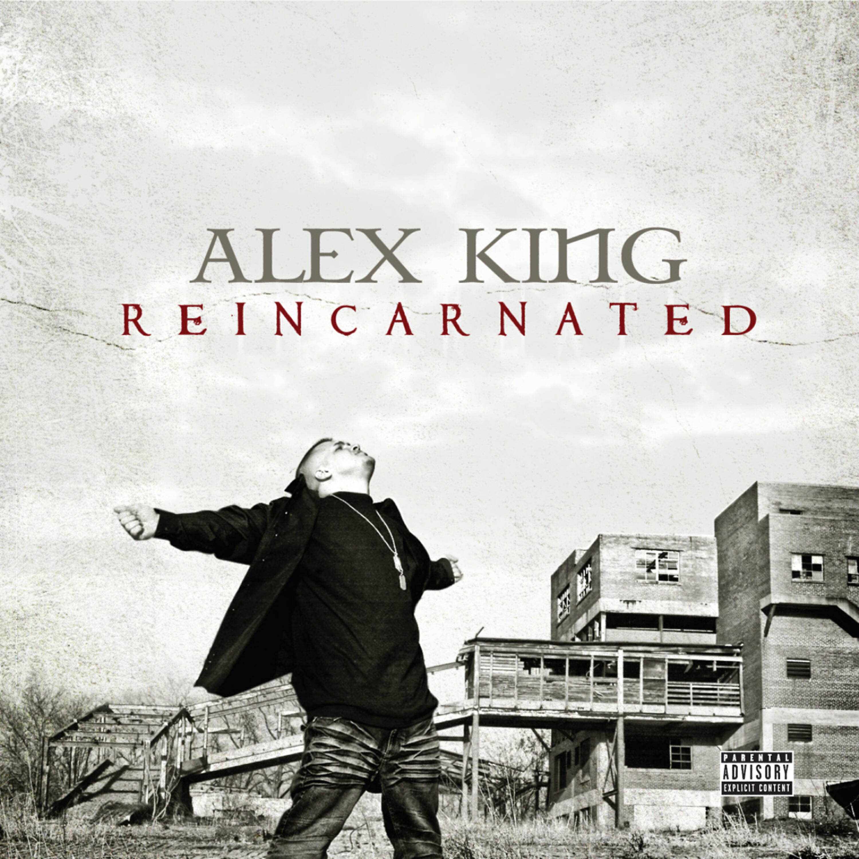 Релиз Reincarnated