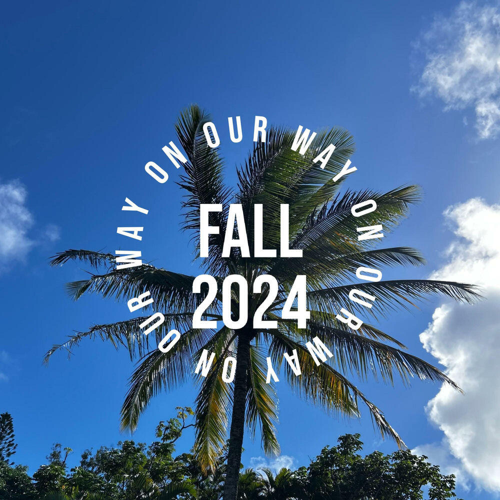 Релиз Fall 2024