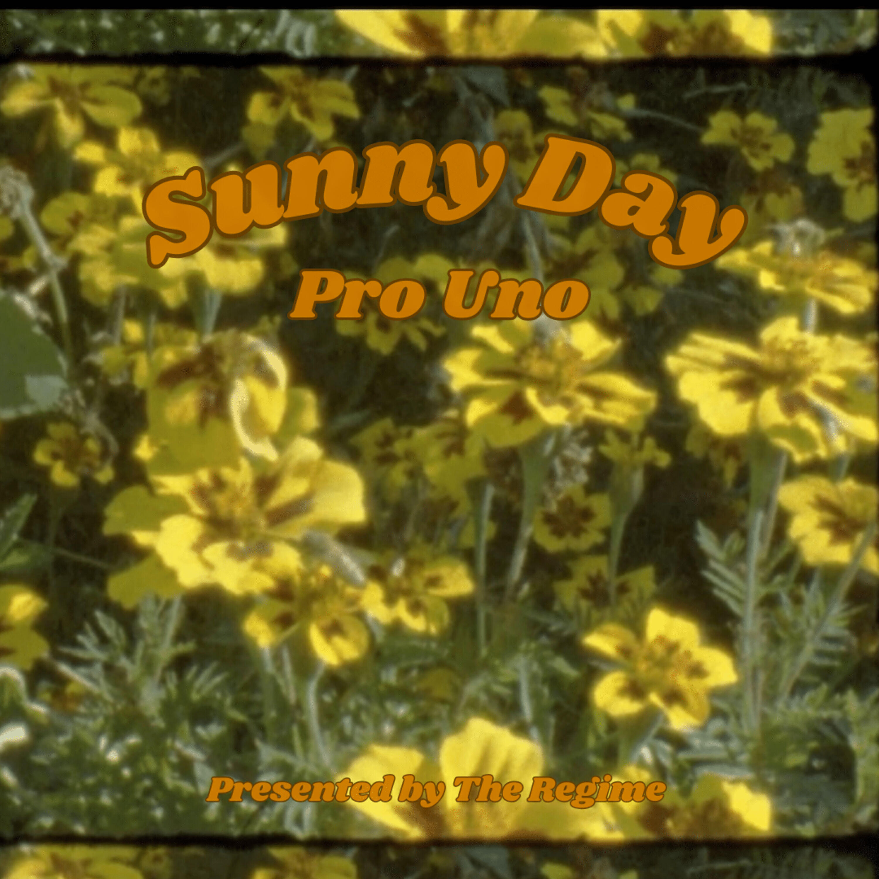 Релиз Sunny Day