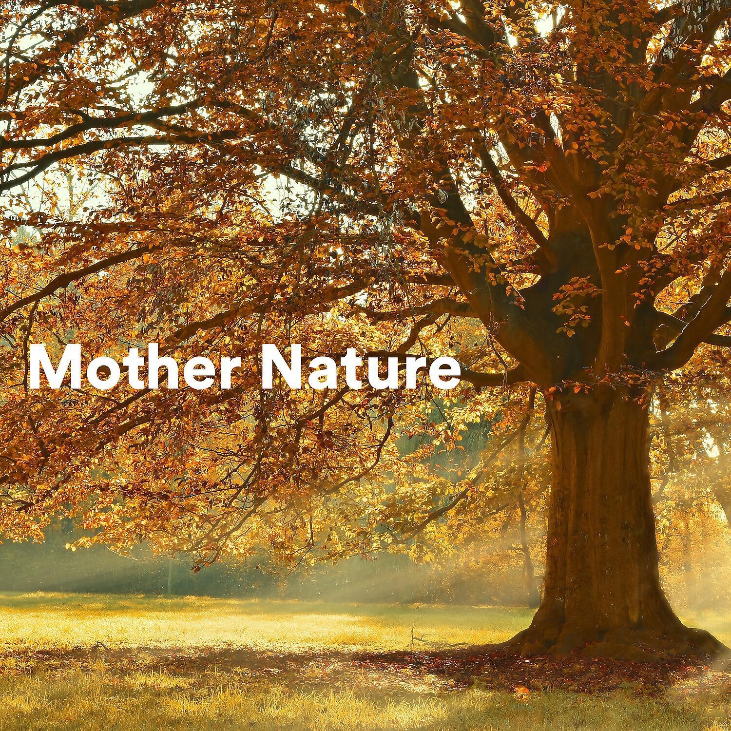 Релиз Mother Nature
