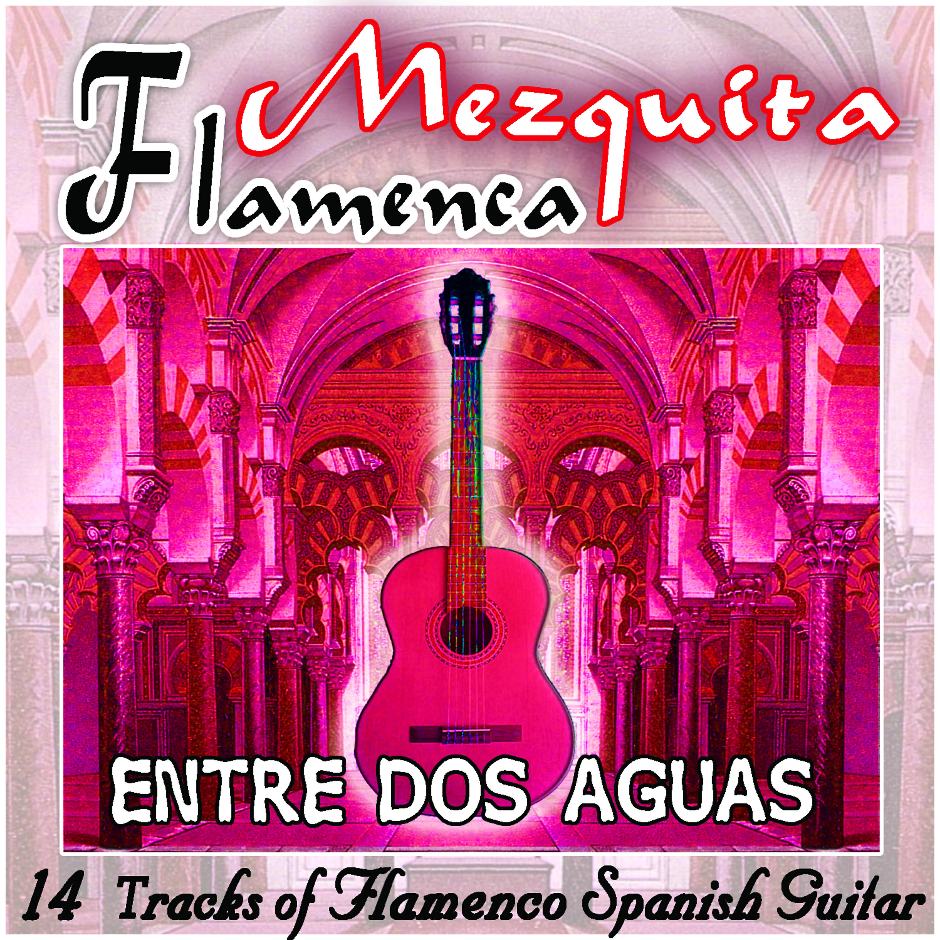 Релиз Mezquita Flamenca: Entre dos aguas. 16 tracks of flamenco spanish guitar