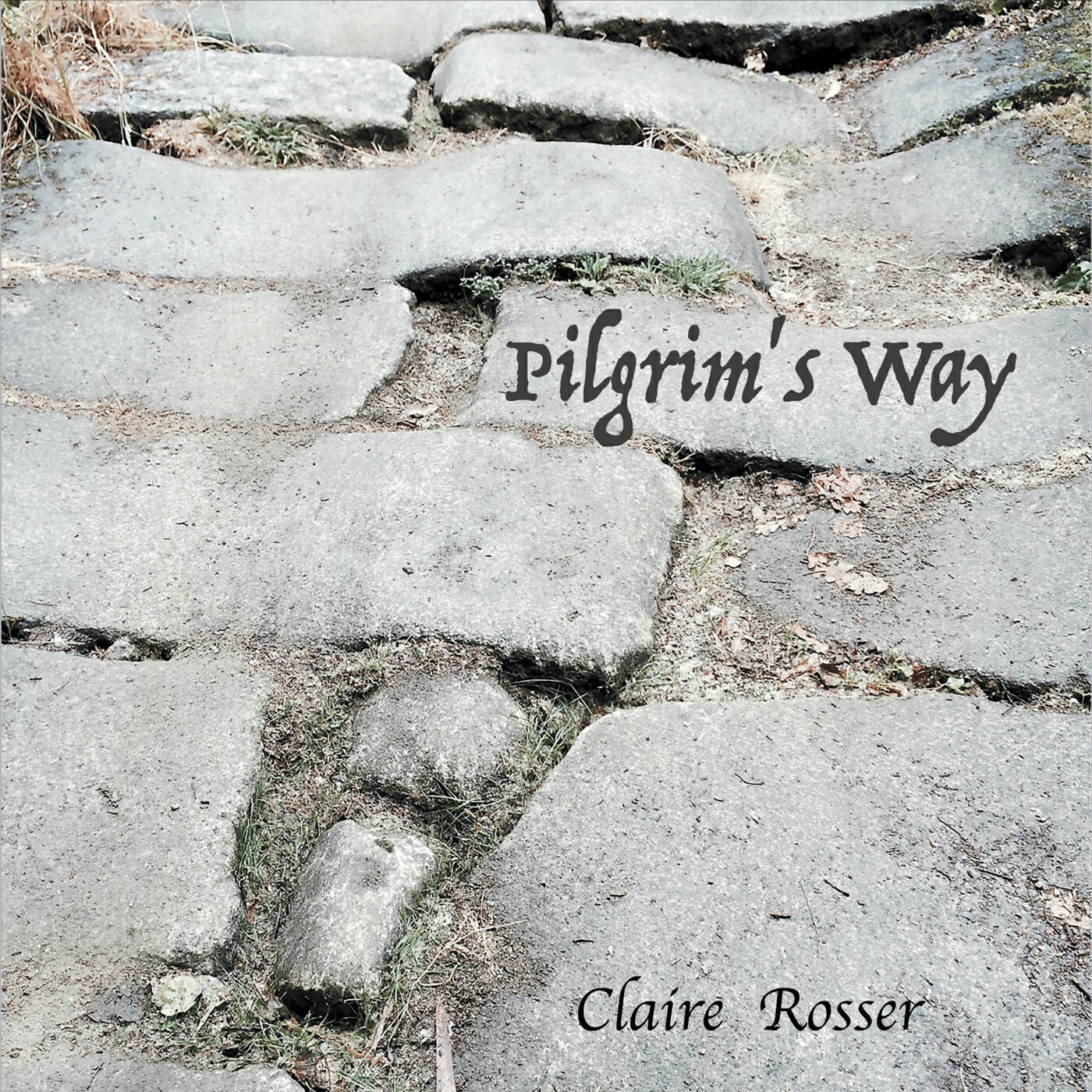 Релиз Pilgrim's Way