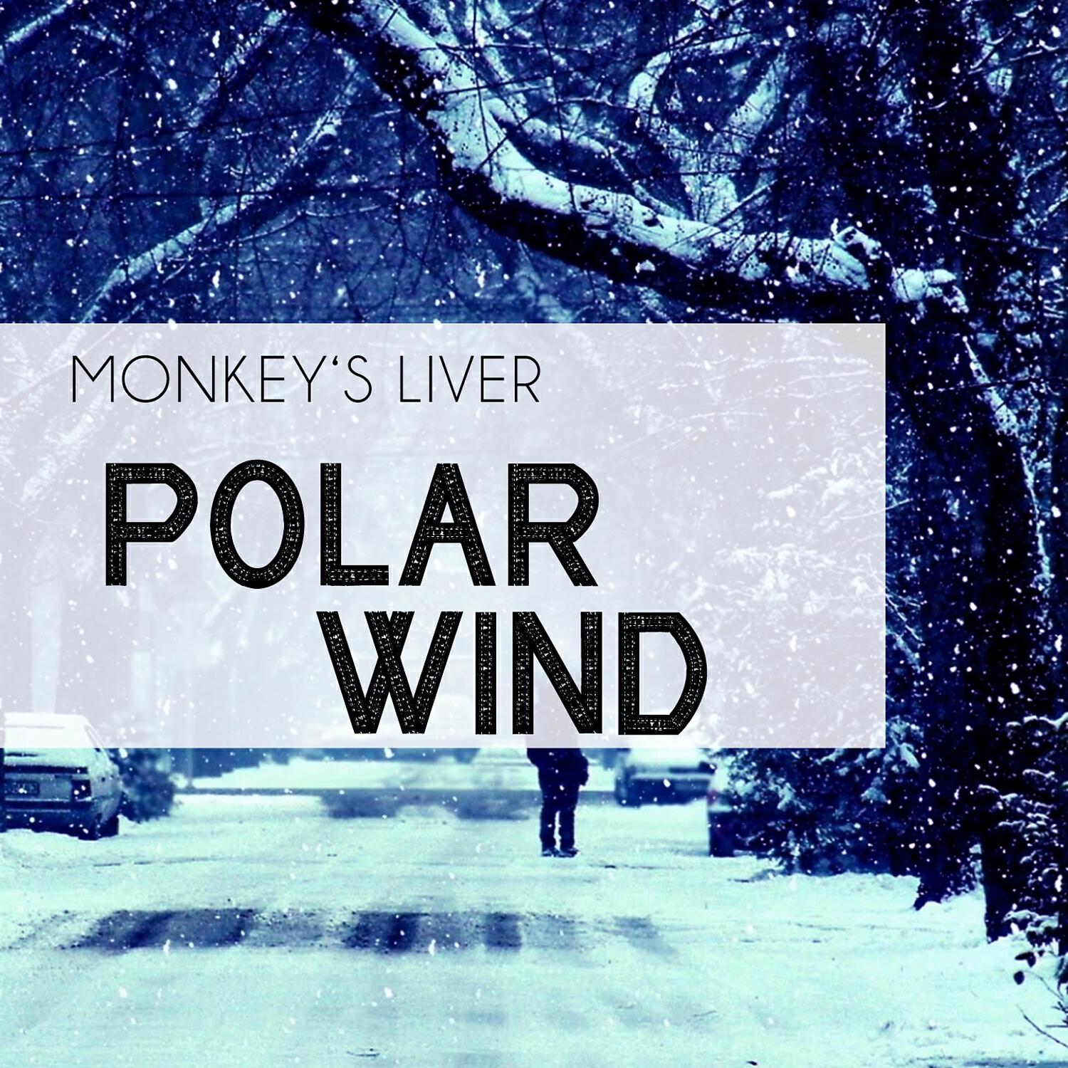 Релиз Polar Wind