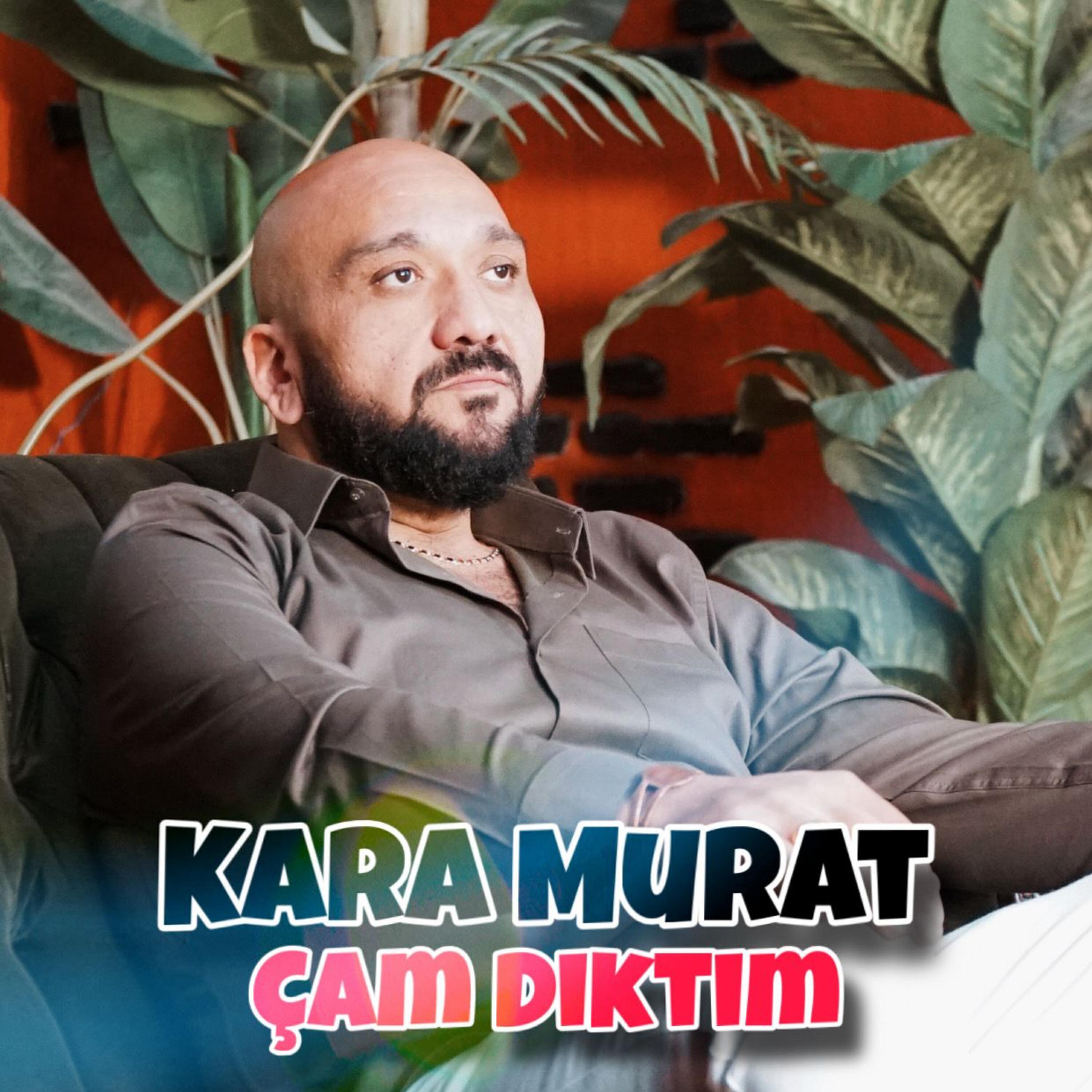 Релиз Çam Diktim