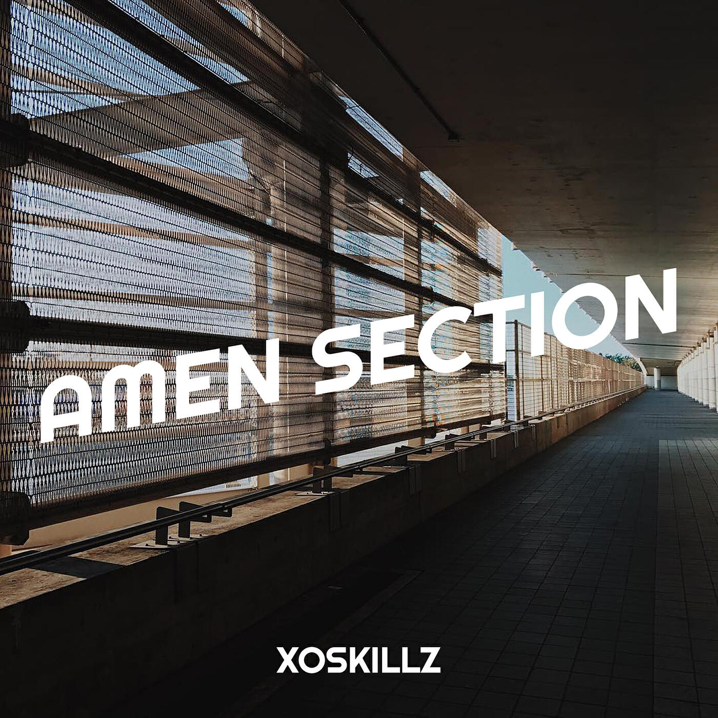Релиз Amen Section