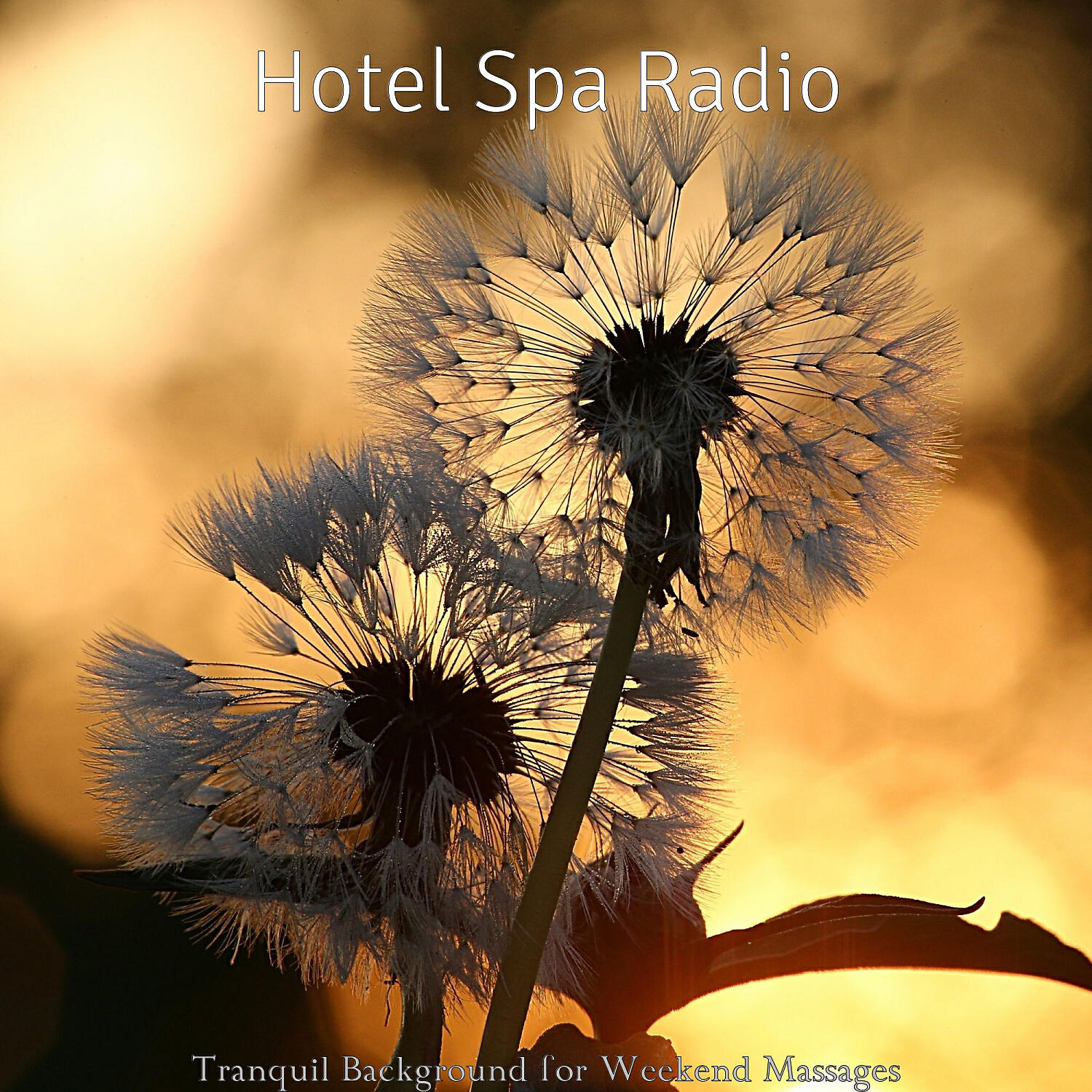 Релиз Tranquil Background for Weekend Massages