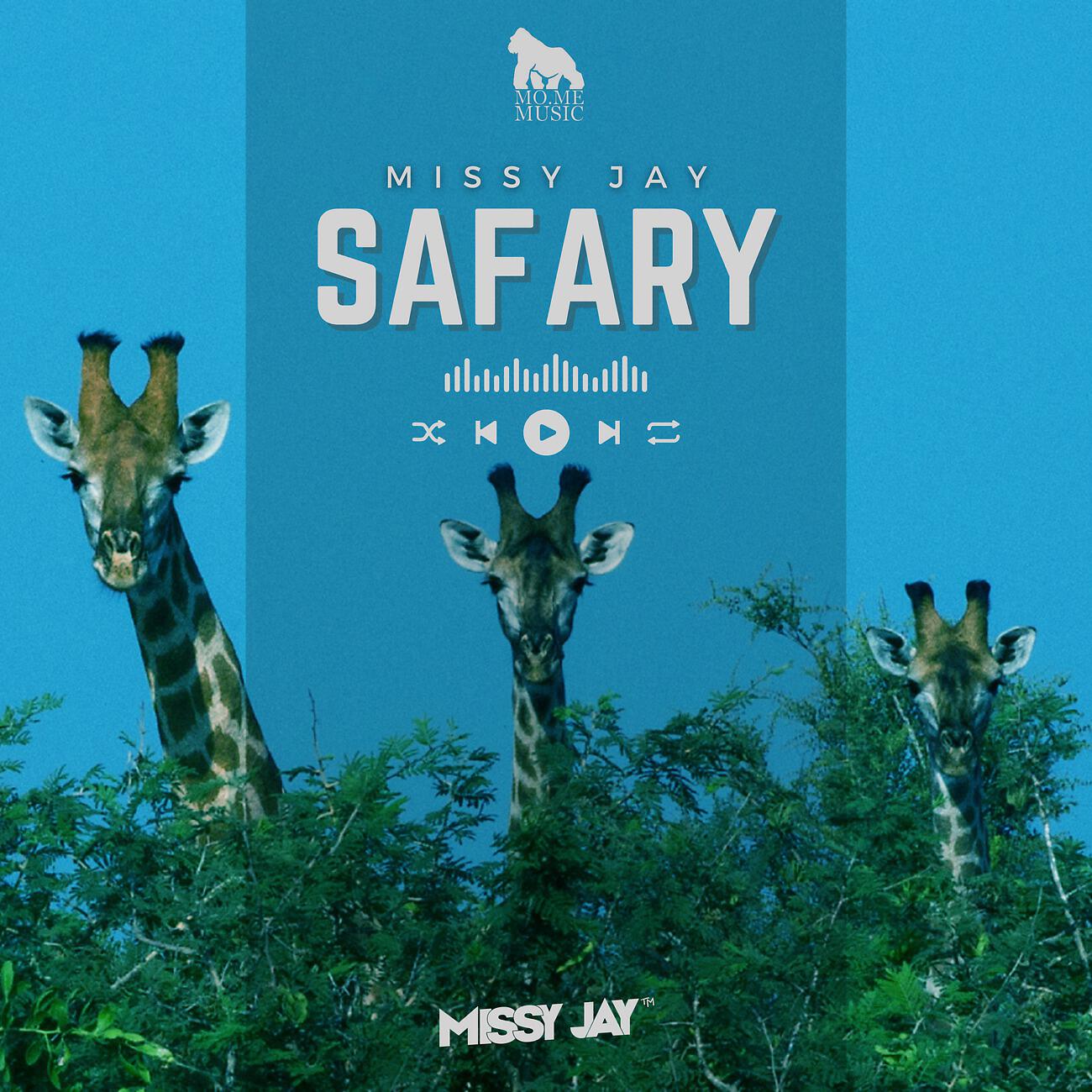 Релиз Safary