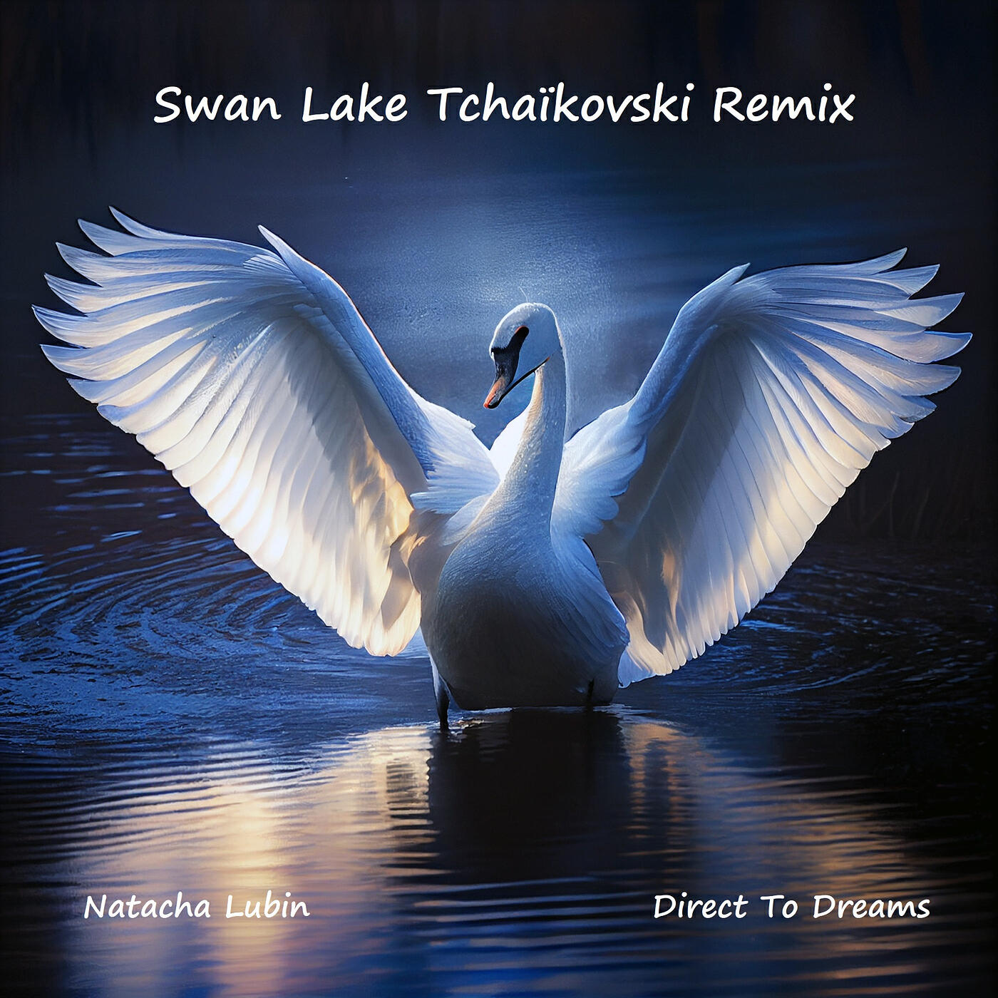 Релиз Swan Lake Tchaïkovski (Remix)