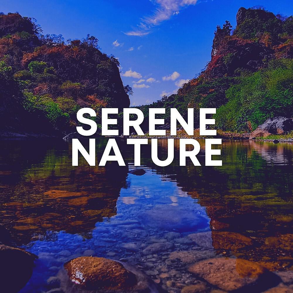 Релиз Serene Nature