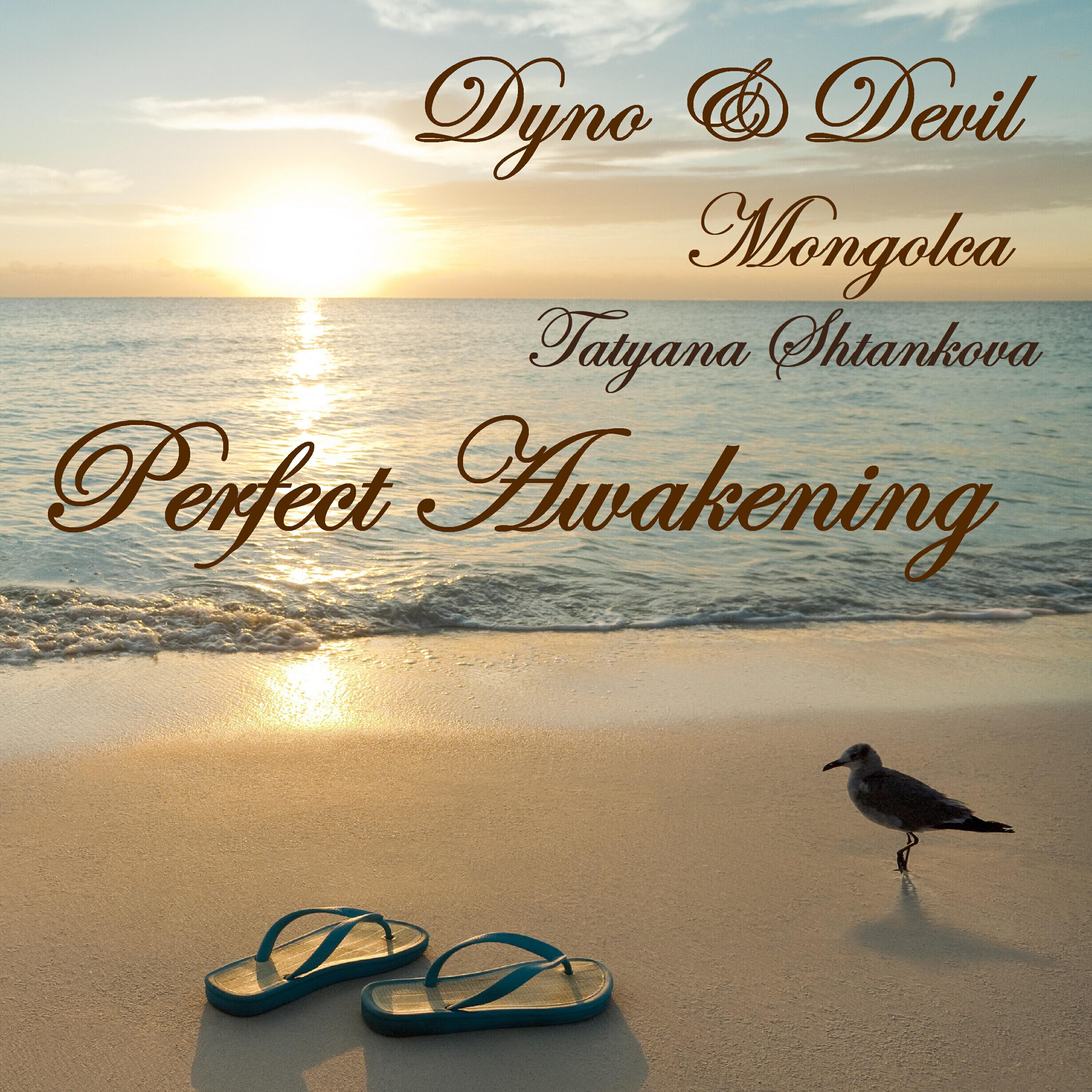 Релиз Perfect Awakening