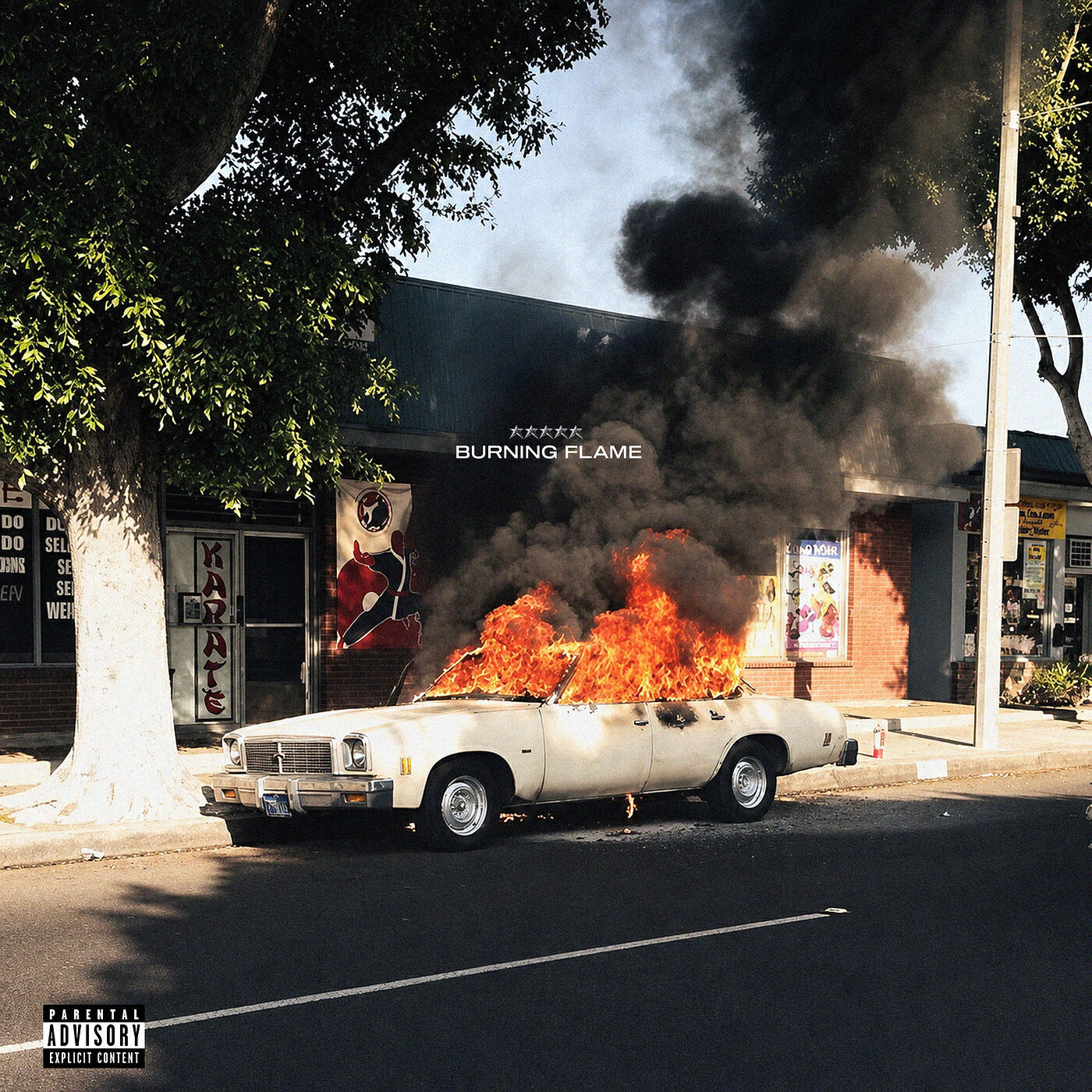 Релиз Burning Flame