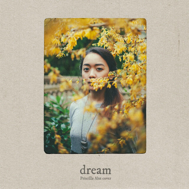 Релиз Dream (Acoustic Cover)