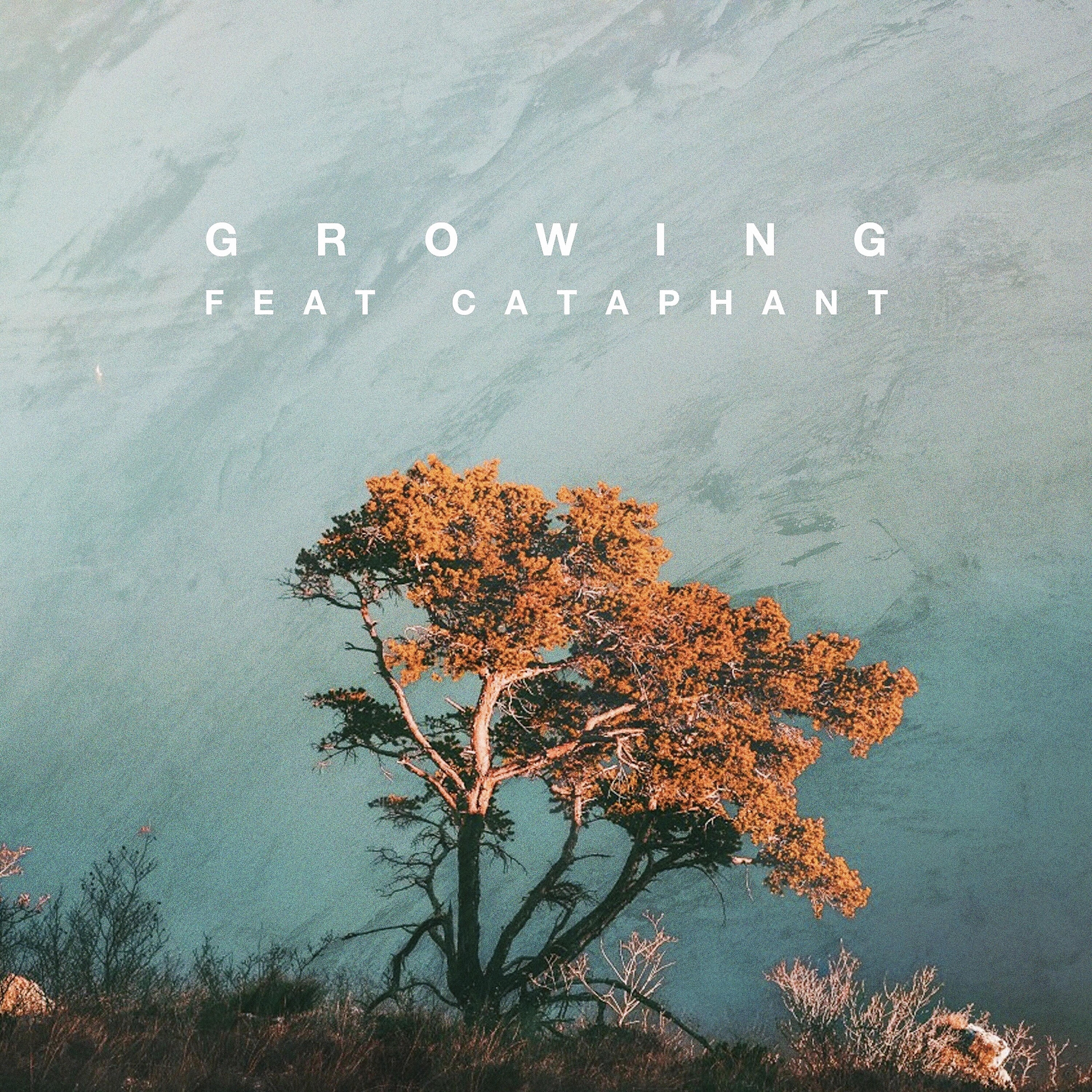 Релиз Growing
