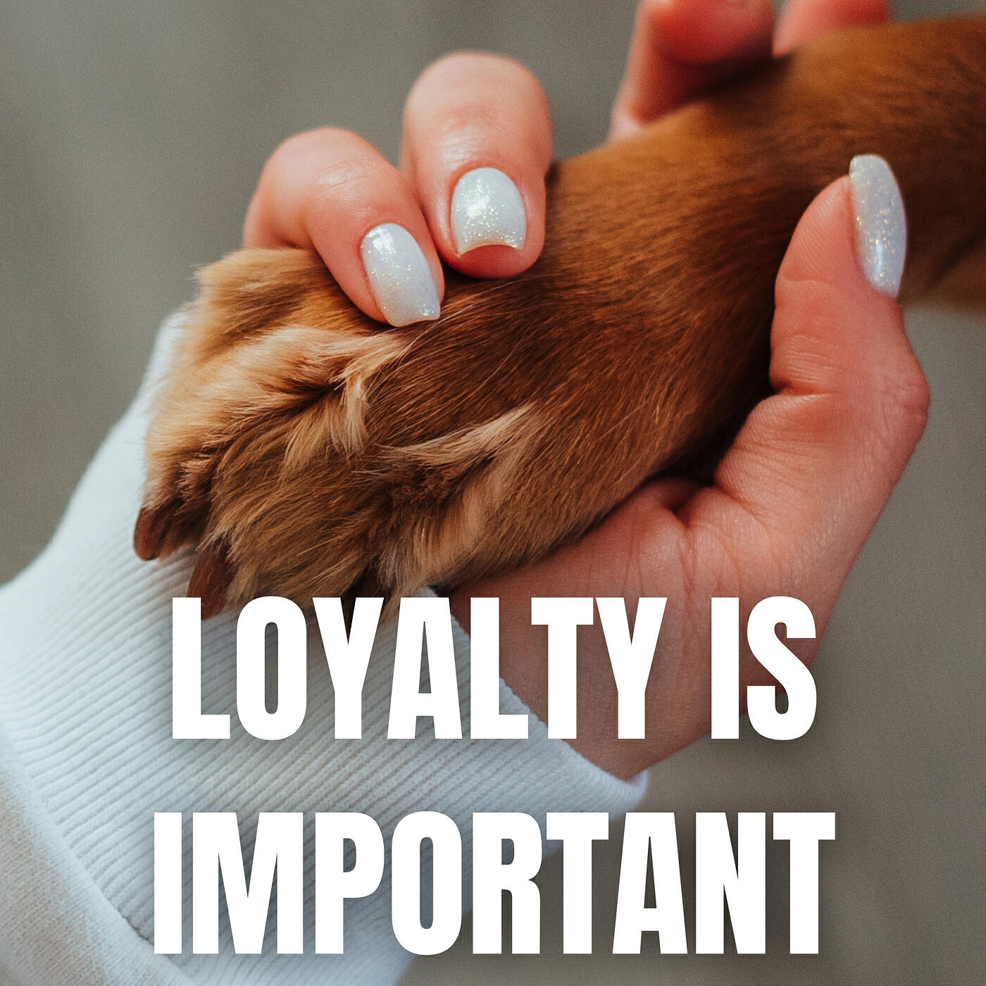 Релиз Loyalty Is Important