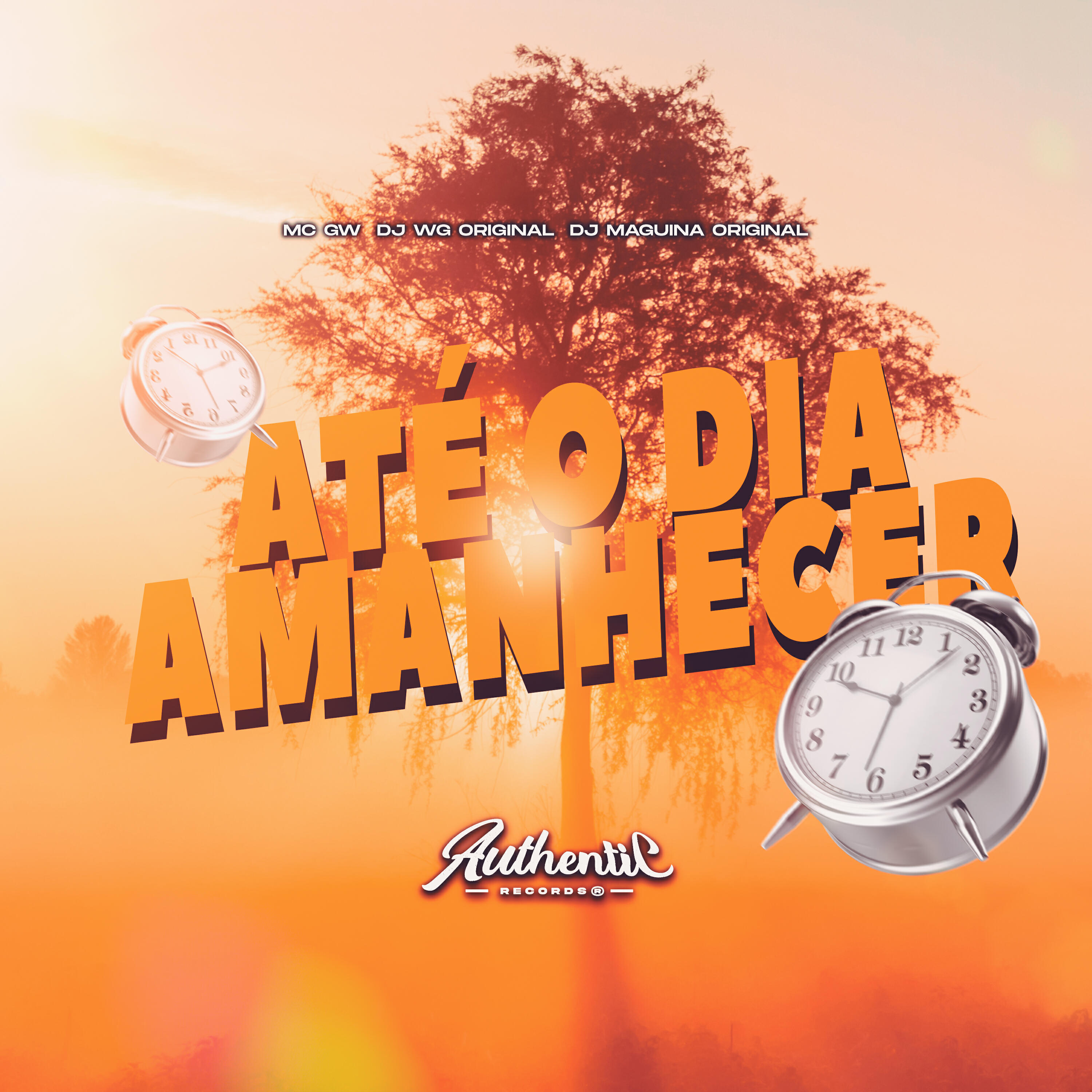 Скачать песню DJ WG ORIGINAL, Authentic Records, DJ MAGUINA ORIGINAL, Mc GW - Até o Dia Amanhecer бесплатно в MP3 для Android и iOS