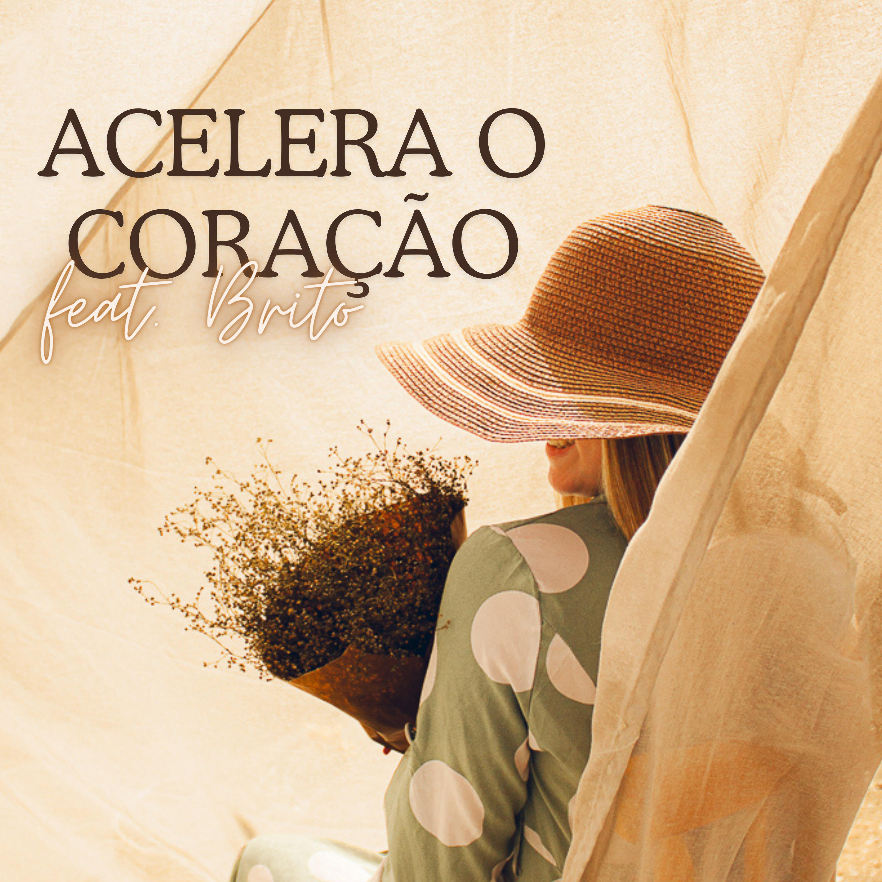 Релиз Acelera o Coração