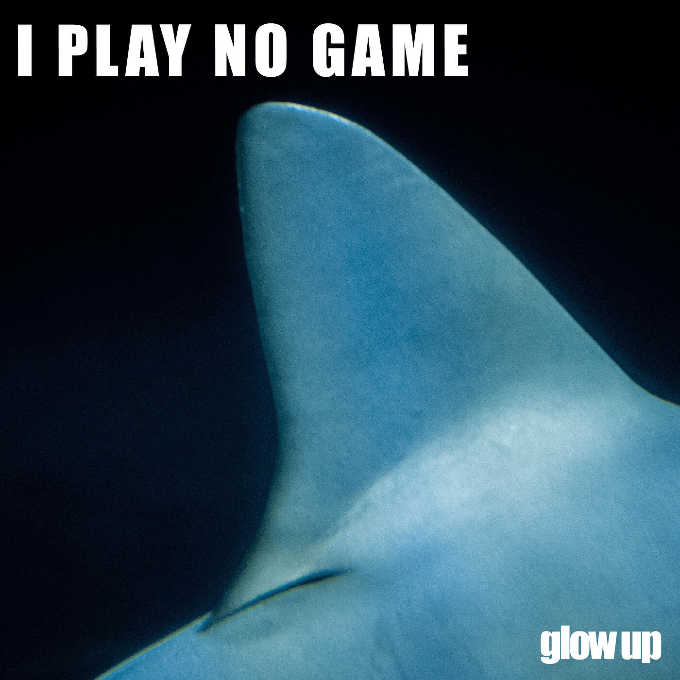 Релиз I Play No Game