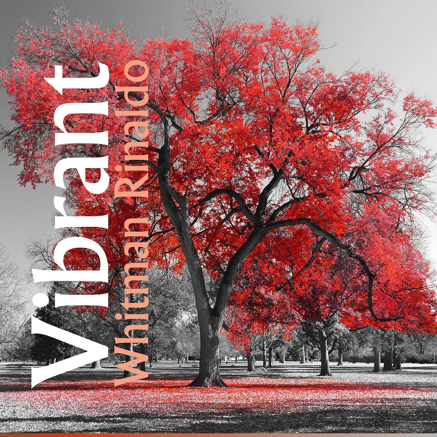 Релиз Vibrant
