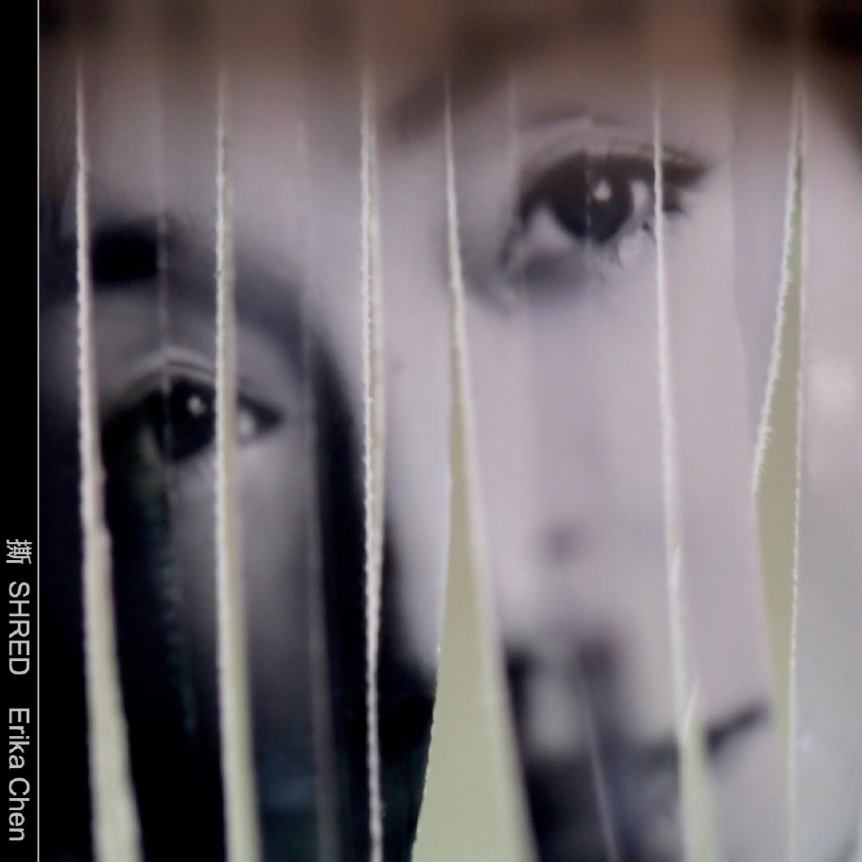 Релиз SHRED（撕）